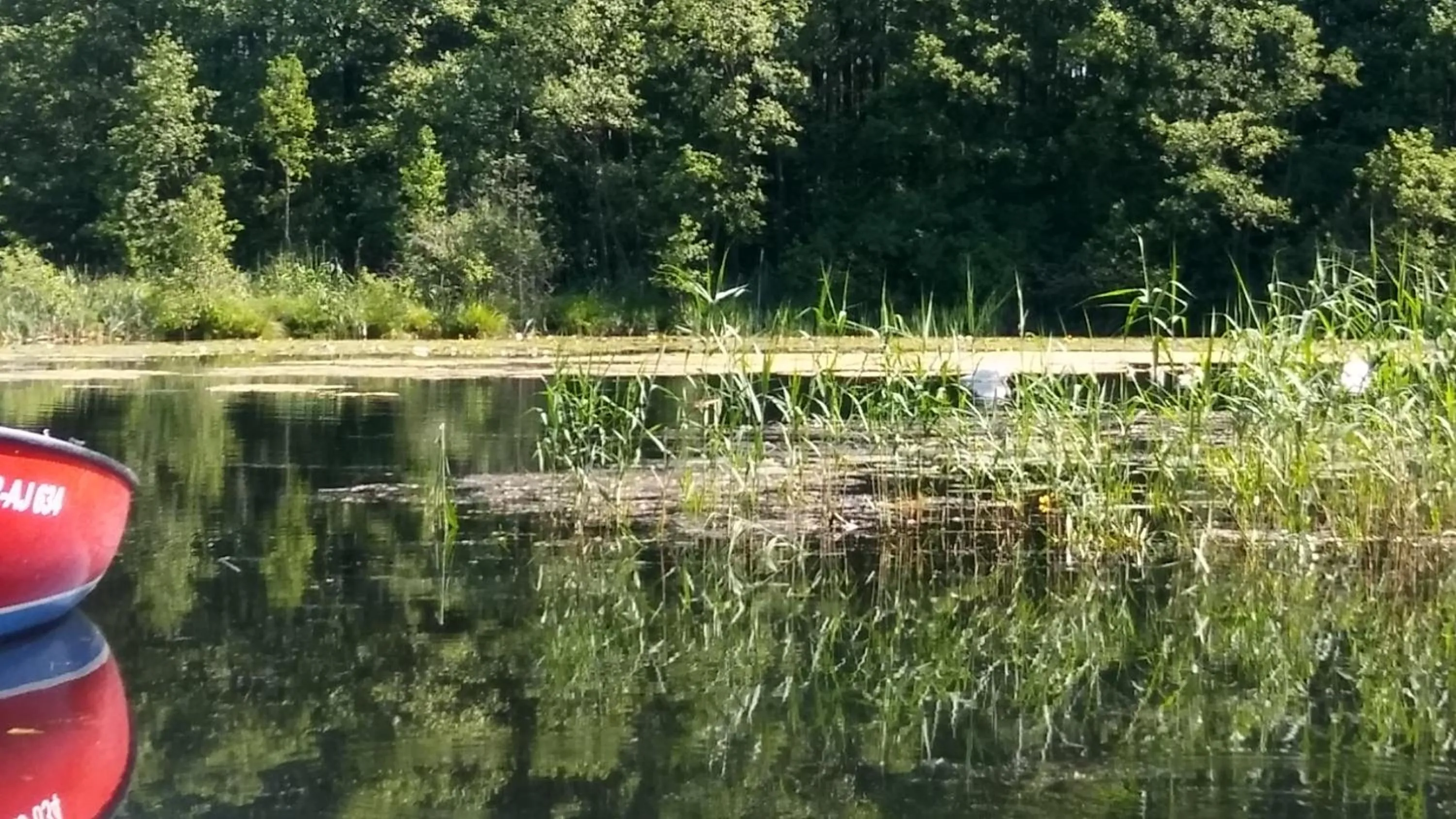 Lake view in Landhotel Cafe Prälank