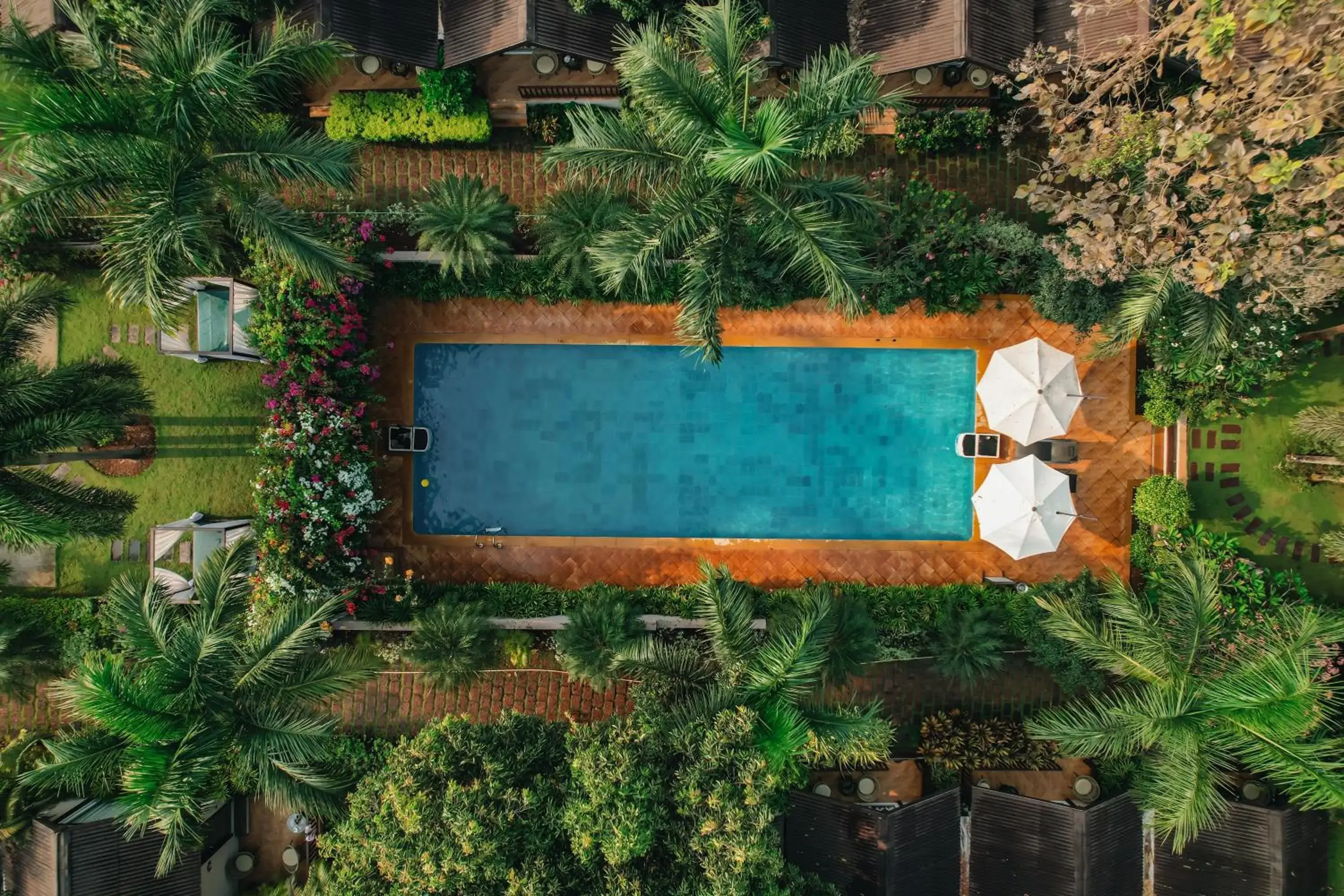 Swimming pool in Stone Wood Resort, Mandrem Swimming pool in Stone Wood Resort, Mandrem