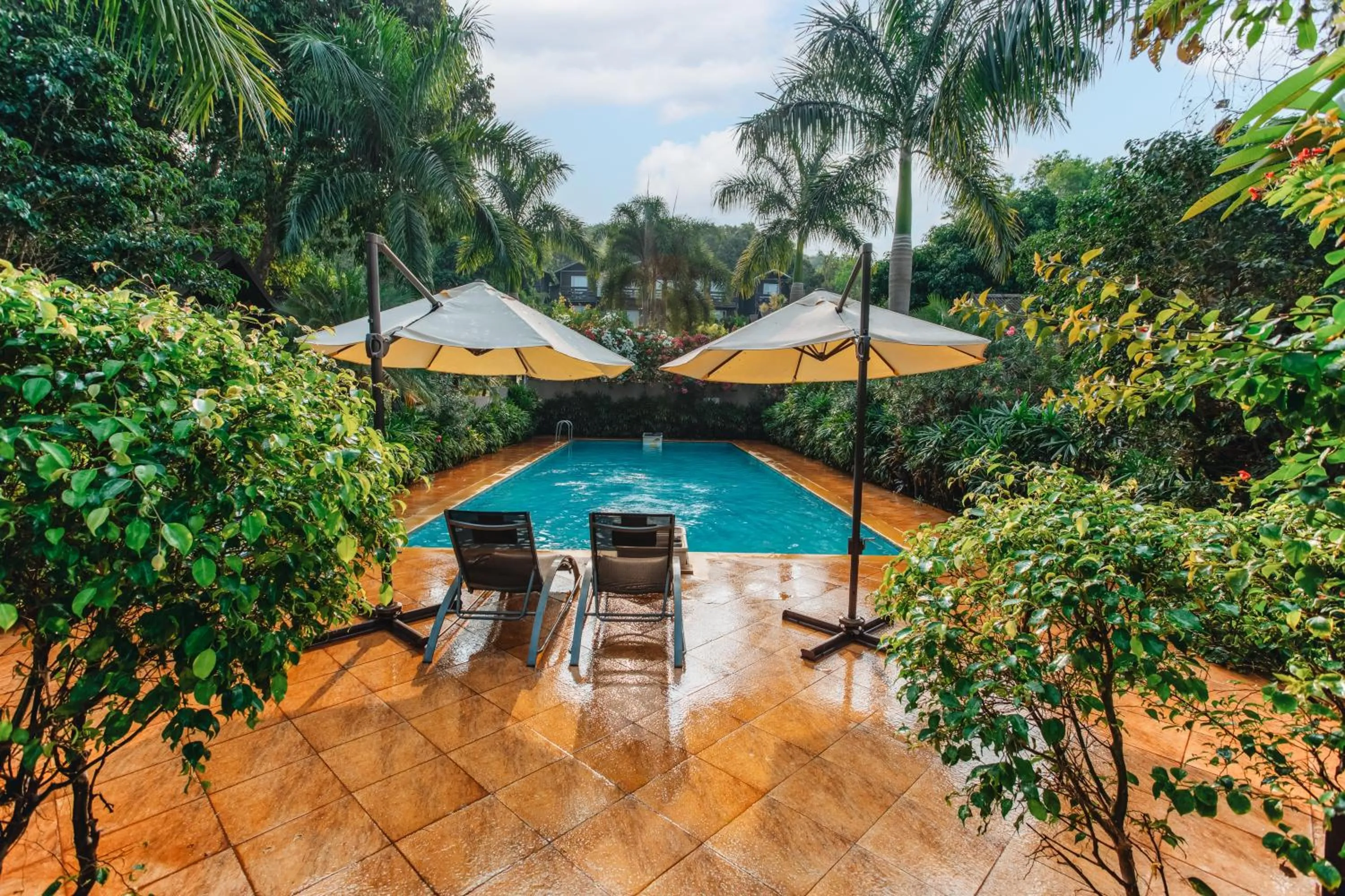 Swimming pool in Stone Wood Resort, Mandrem