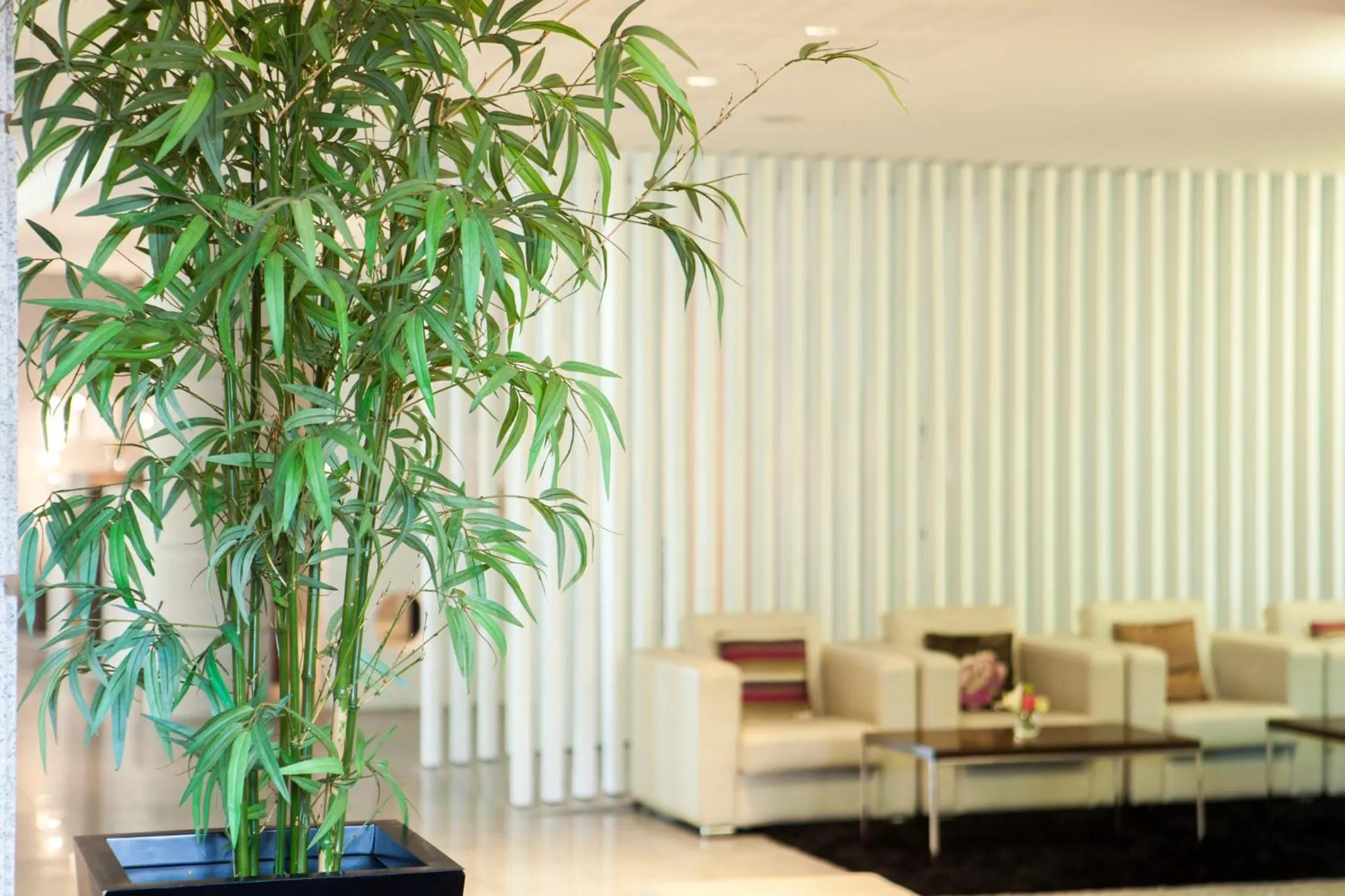 Communal lounge/ TV room in Lux Fatima Park - Hotel, Suites & Residence