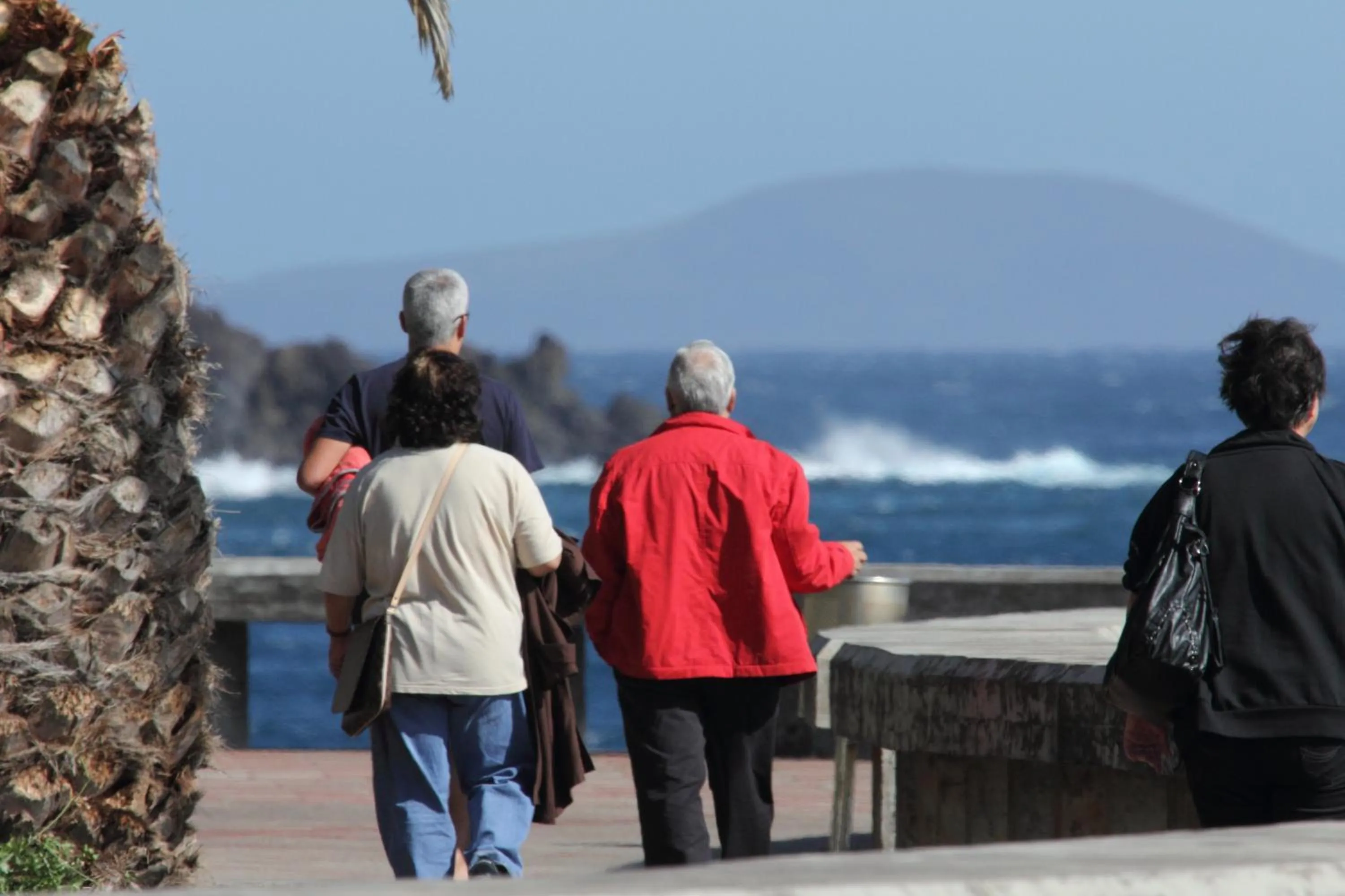 Area and facilities in Canico Bay Apartments