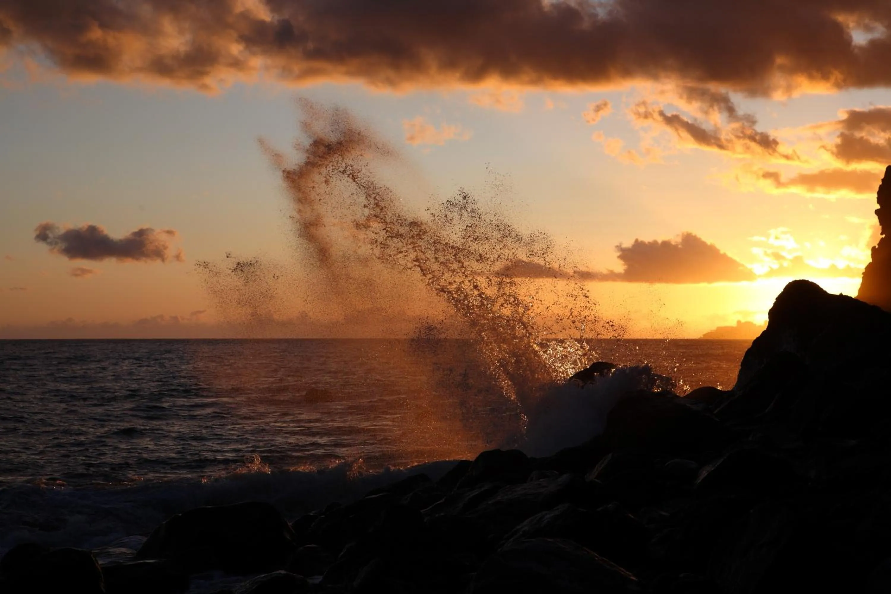 Area and facilities in Canico Bay Apartments