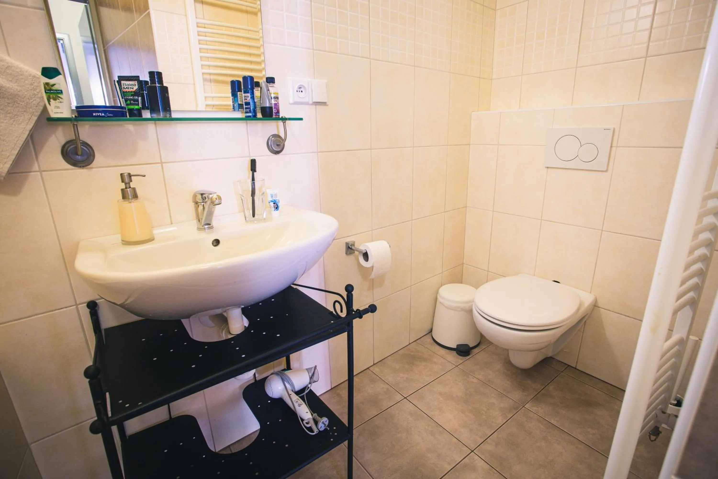 Toilet in Downtown Apartments