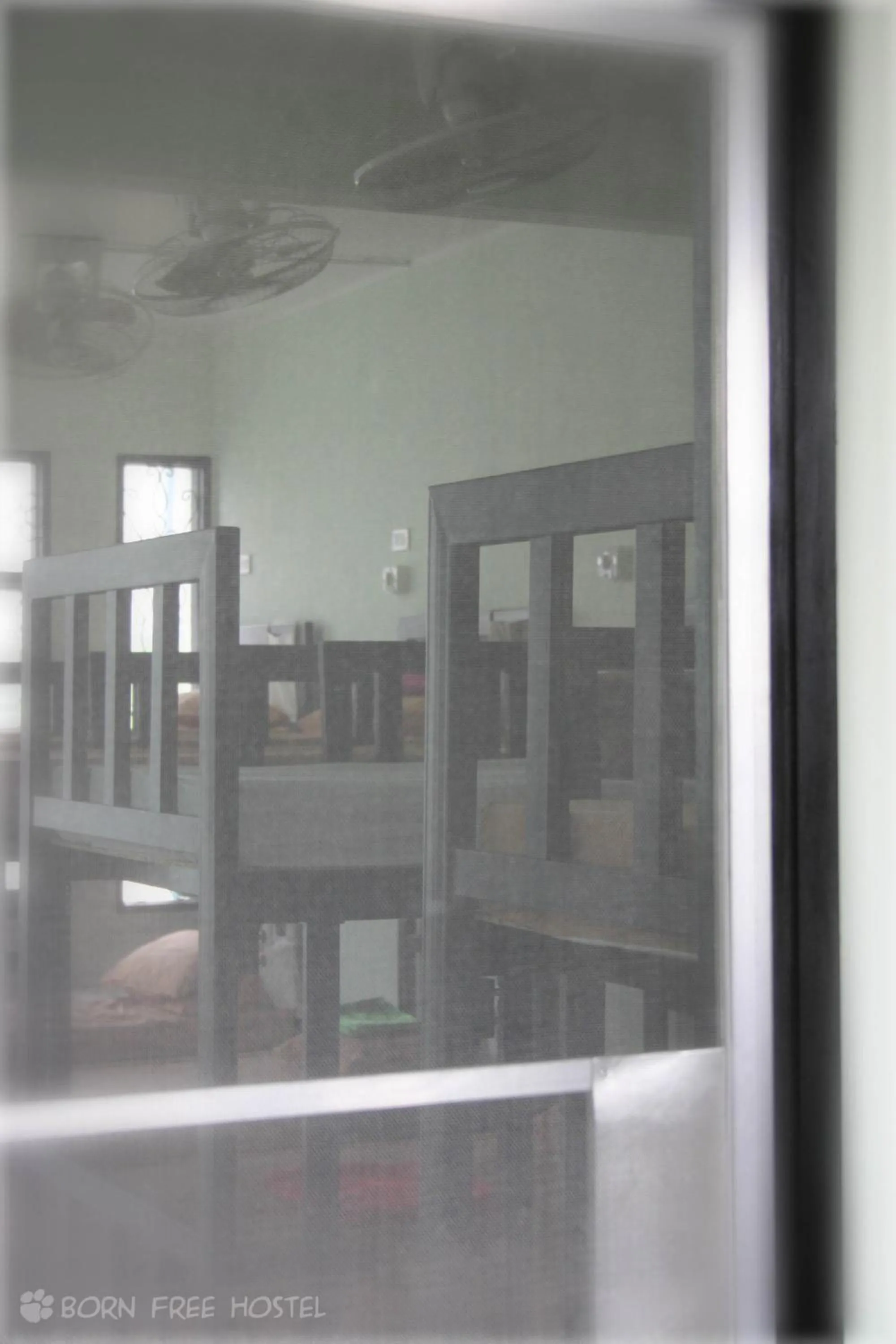 bunk bed in Born Free Hostel