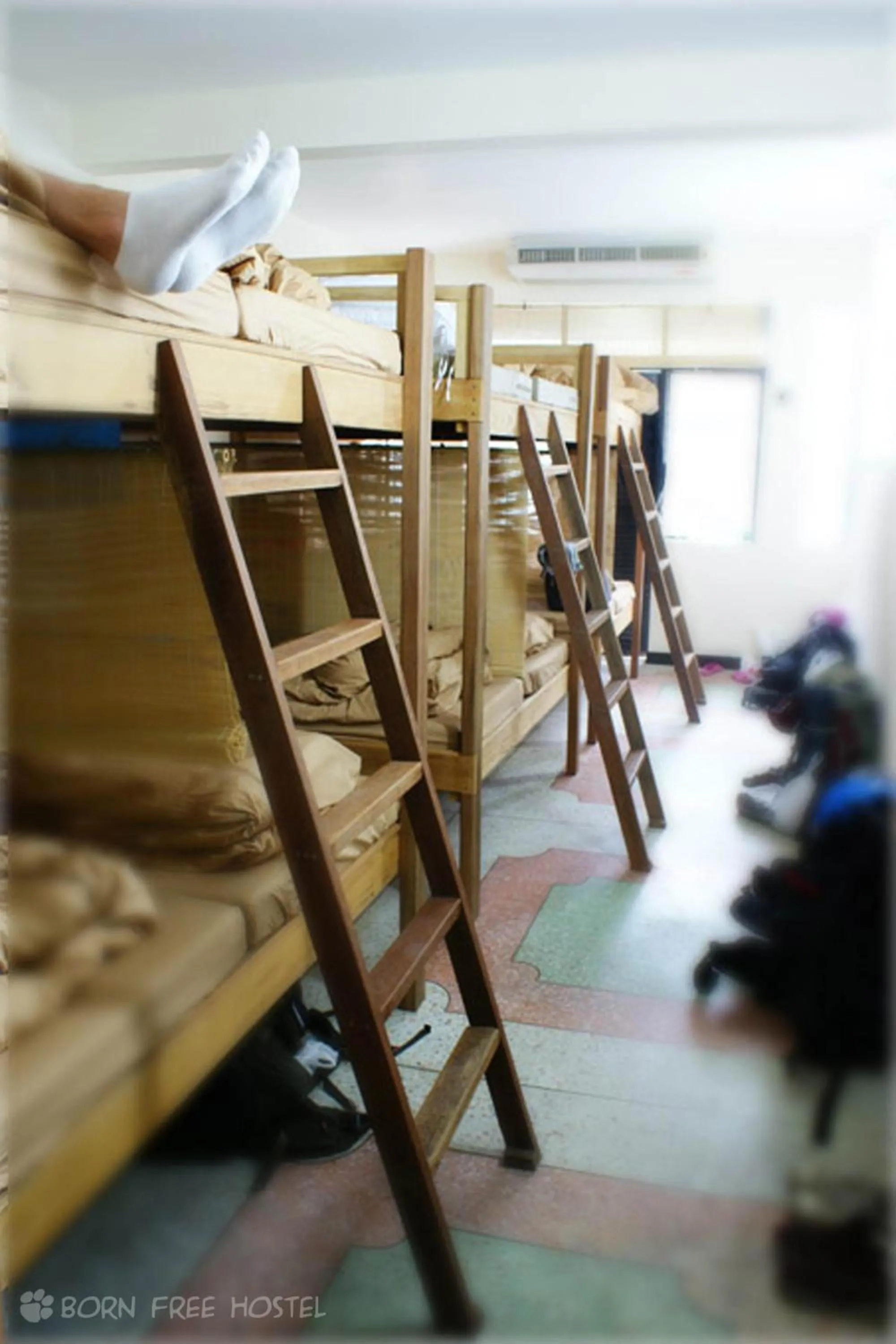 bunk bed, Bed in Born Free Hostel