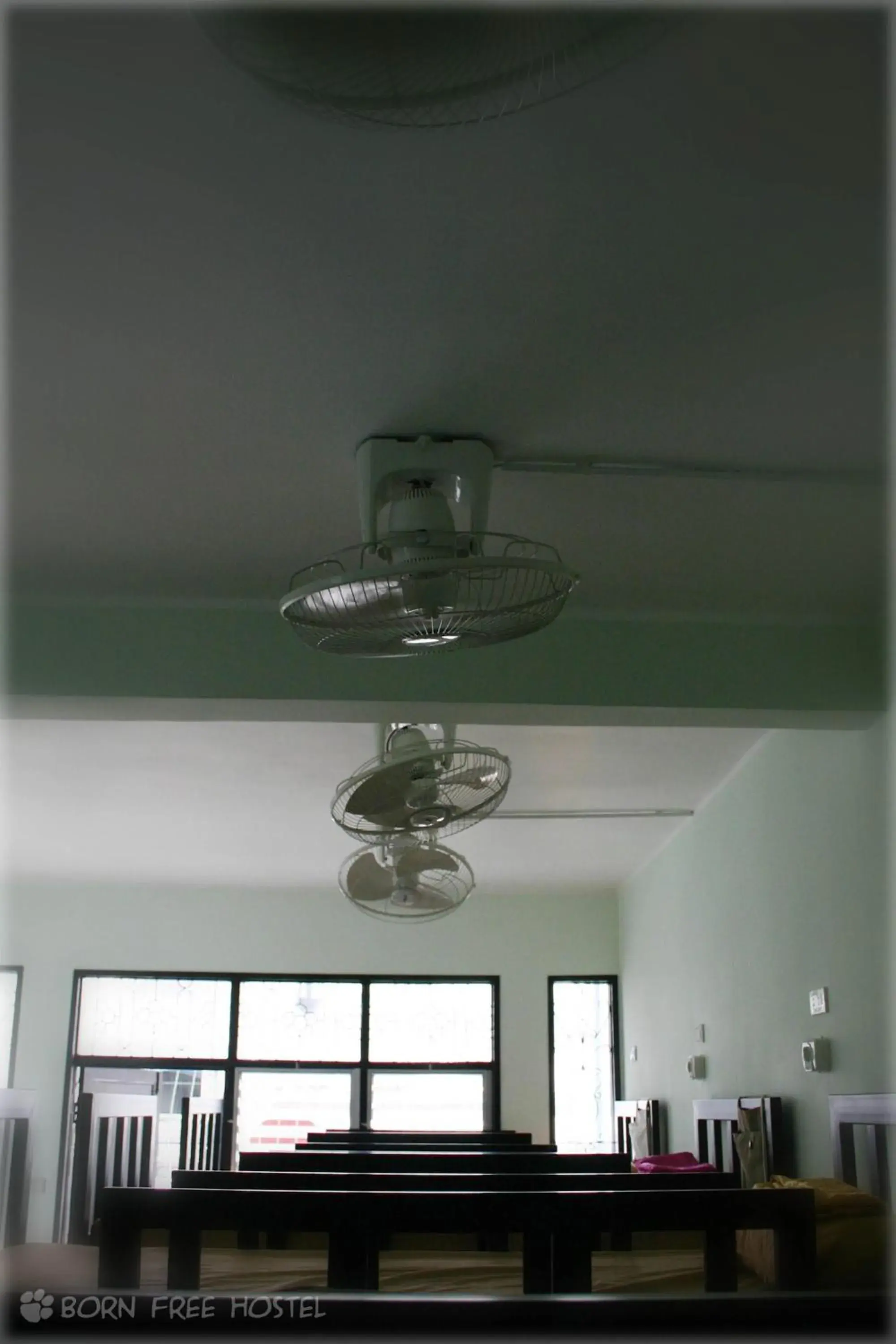 bunk bed in Born Free Hostel bunk bed in Born Free Hostel