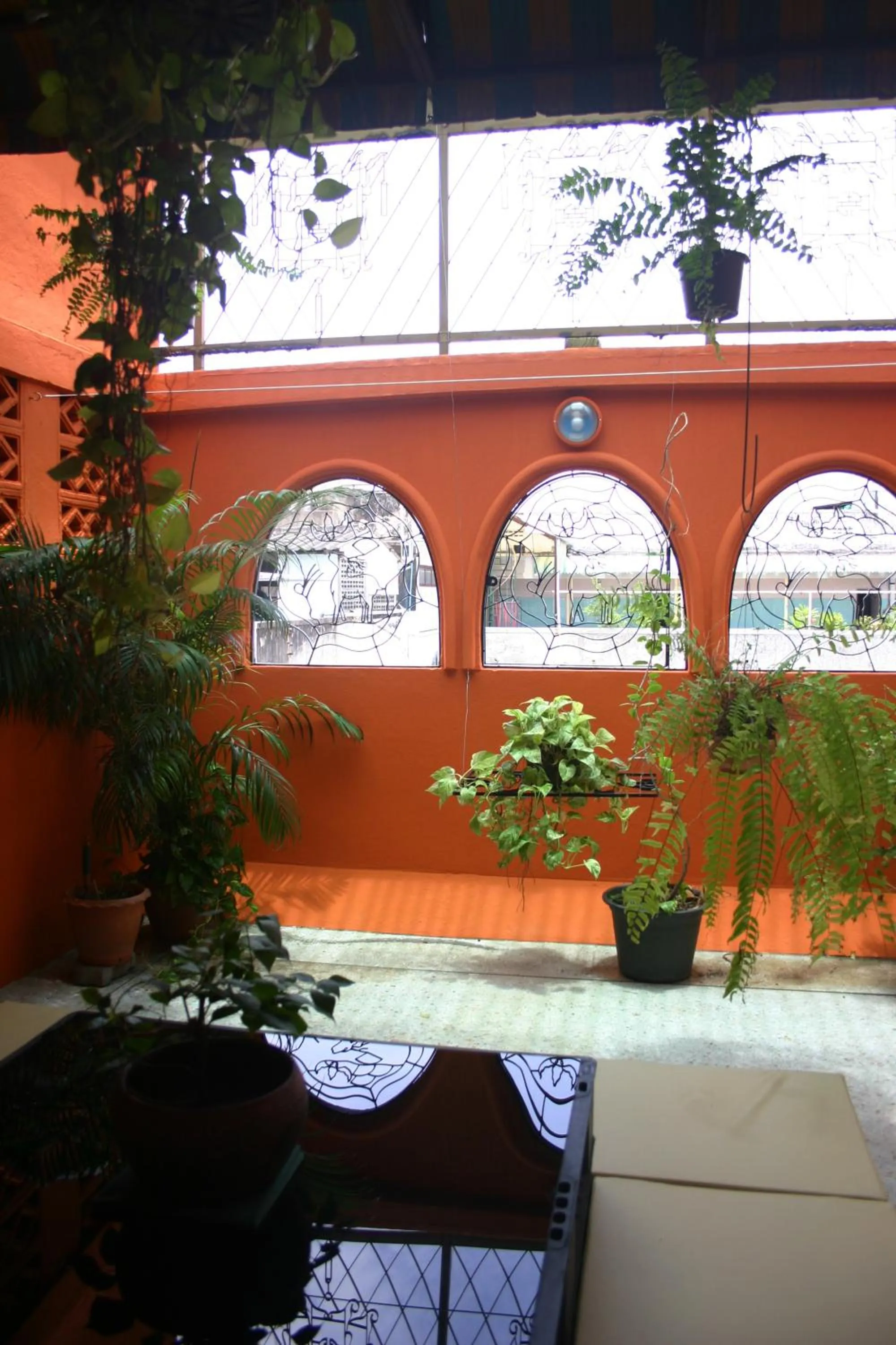 Seating area in Born Free Hostel