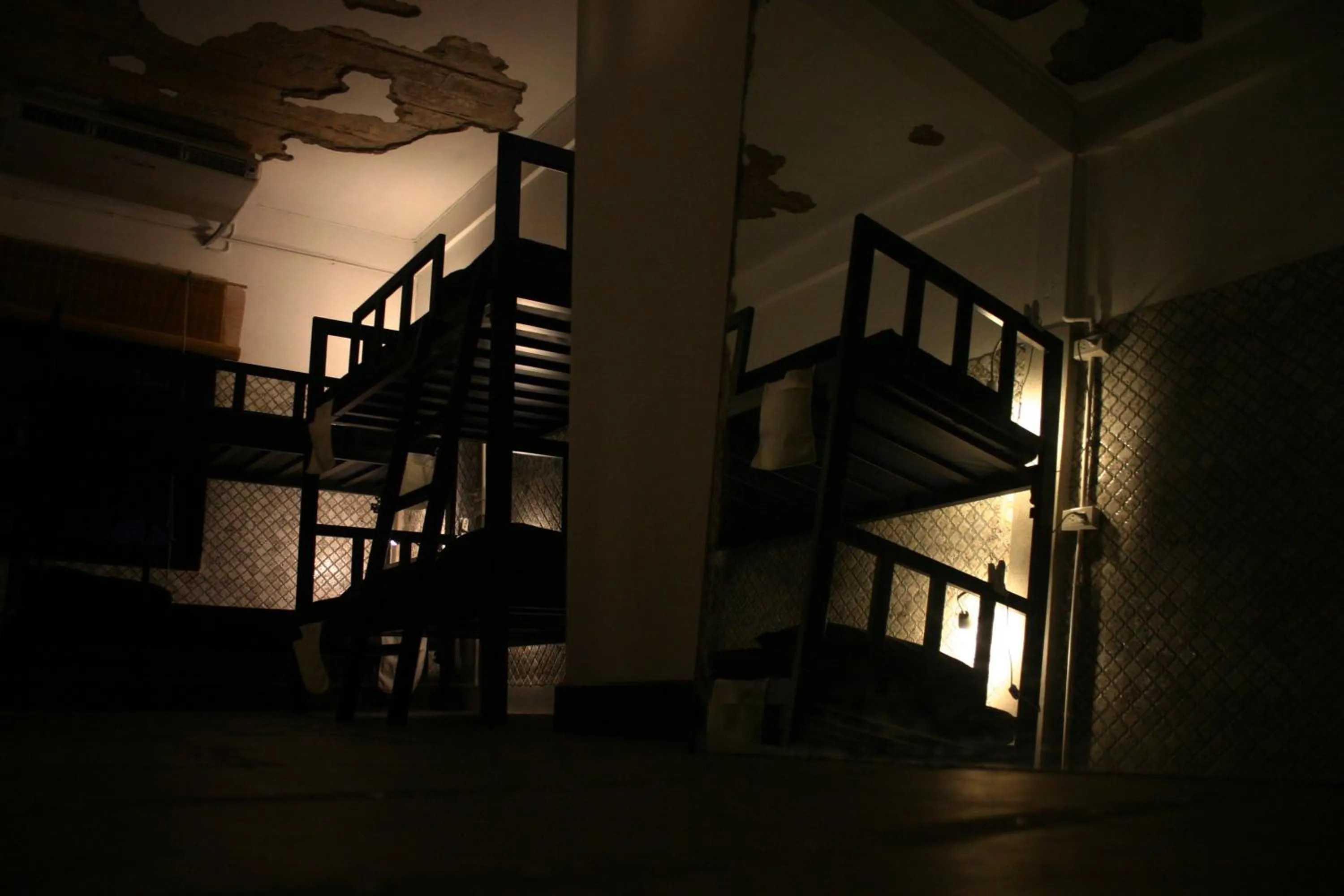 Photo of the whole room in Born Free Hostel