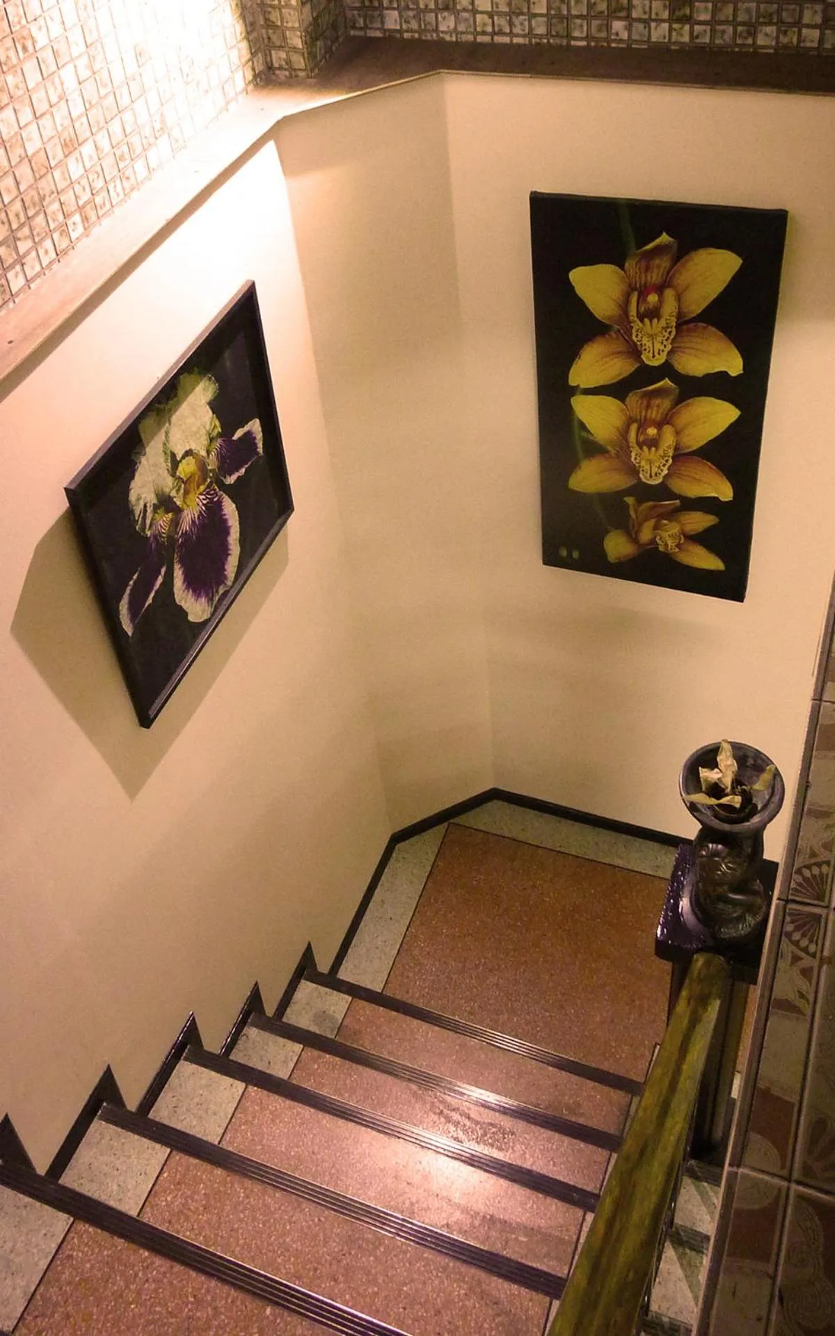 Area and facilities in Born Free Hostel