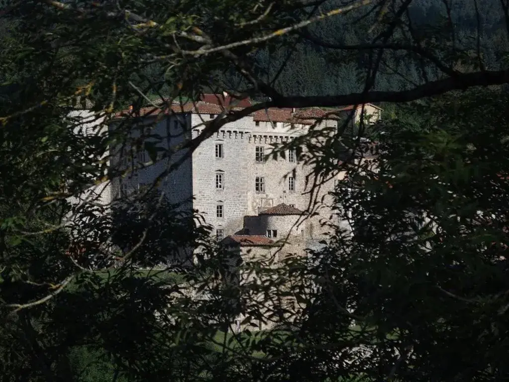 Property building in Château des Marcilly Talaru Property building in Château des Marcilly Talaru