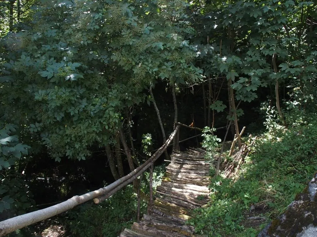 Activities in Château des Marcilly Talaru