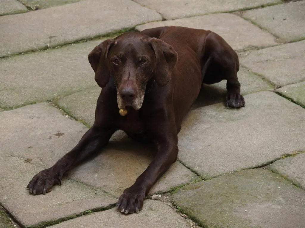 Other in Château des Marcilly Talaru