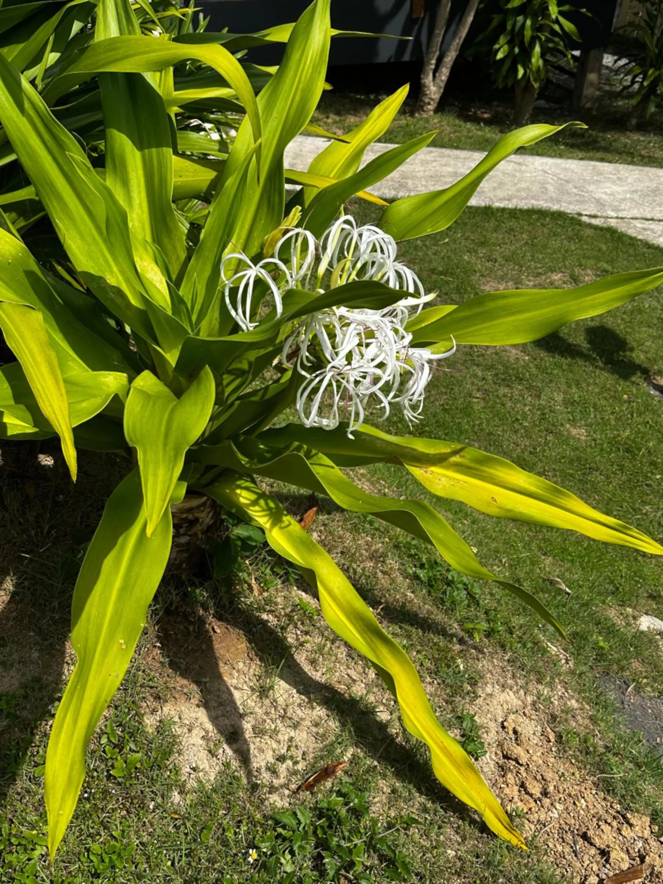 Natural landscape in Escape-Cabins