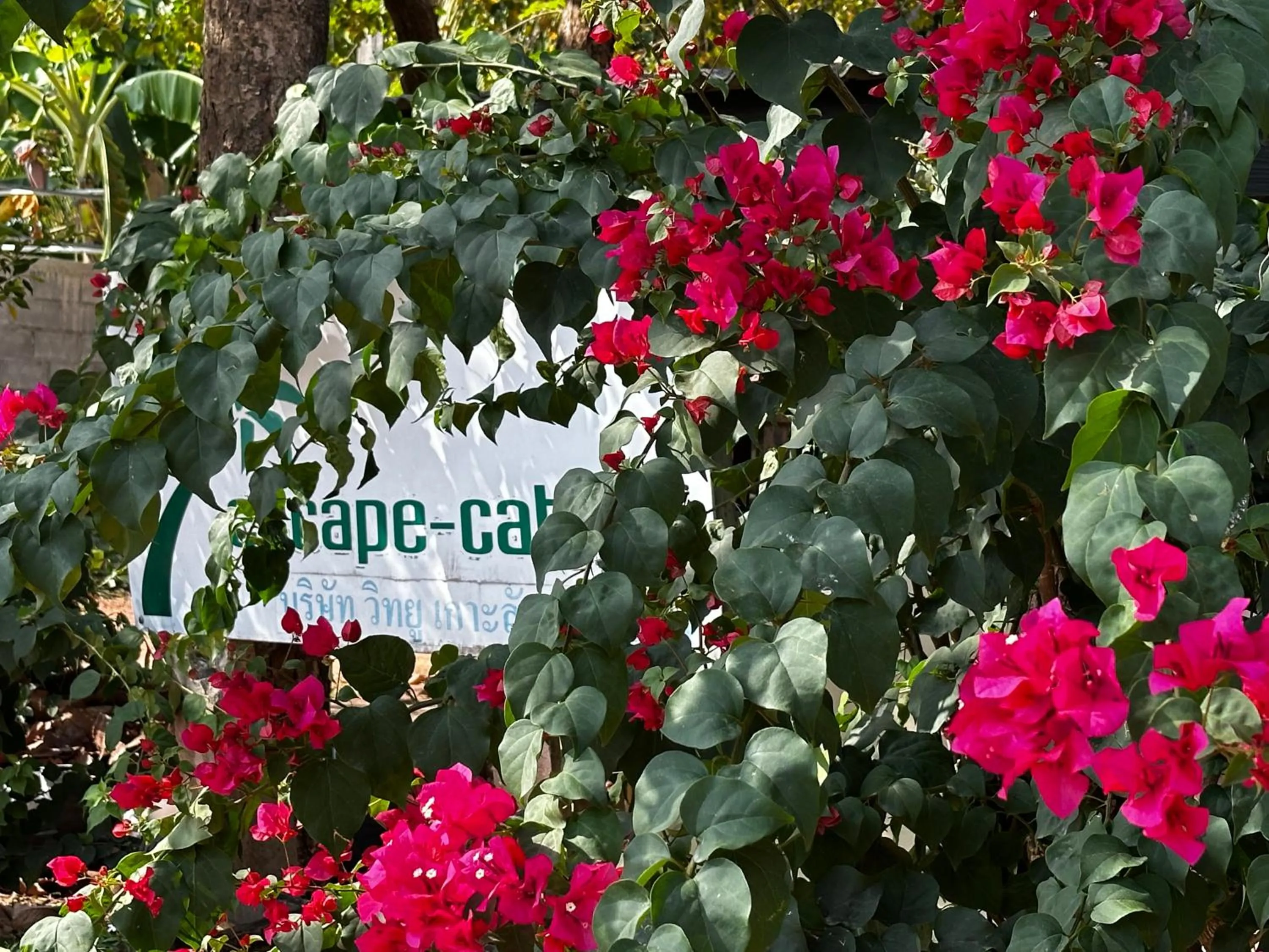 Garden view in Escape-Cabins