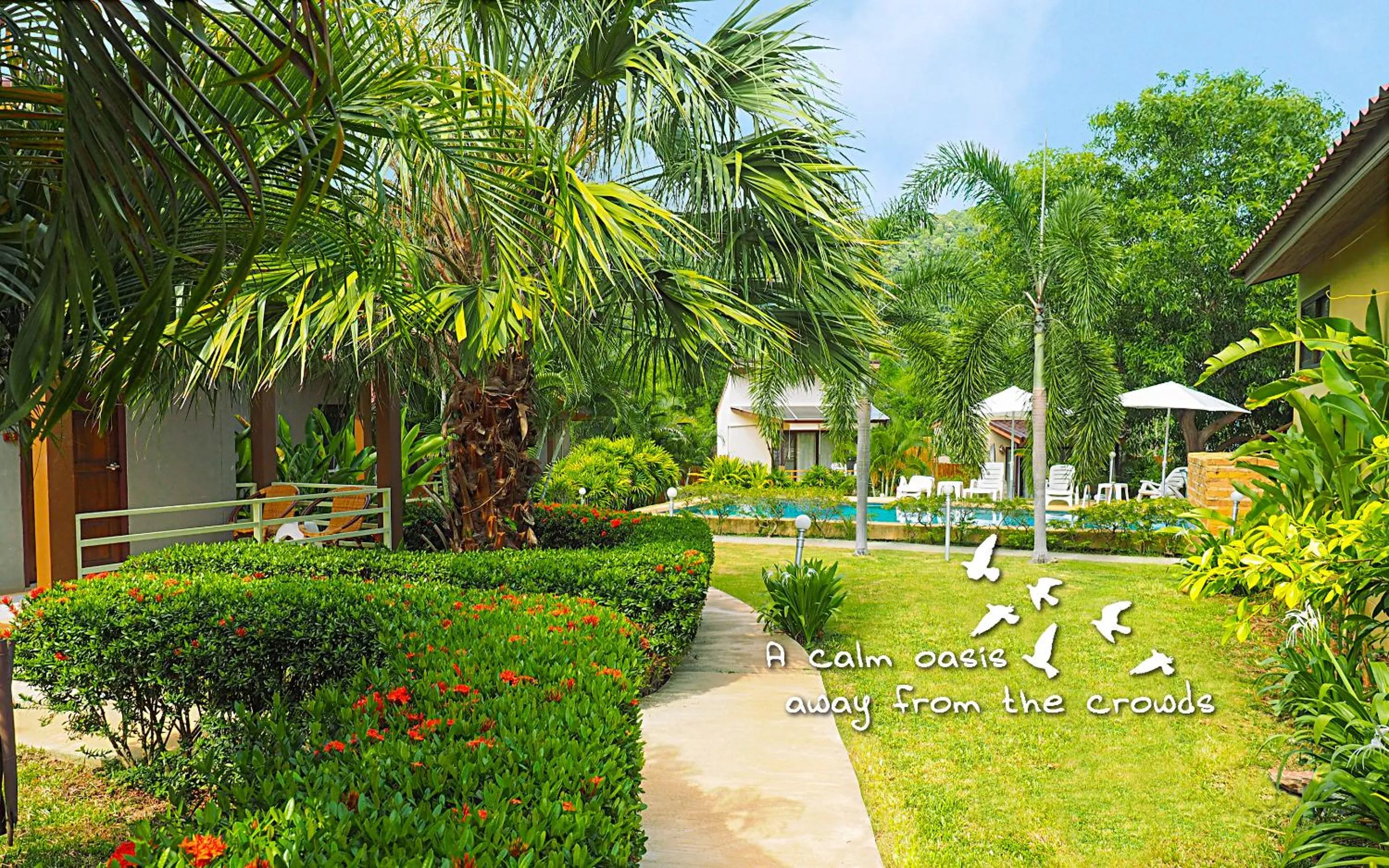 Garden in Escape-Cabins