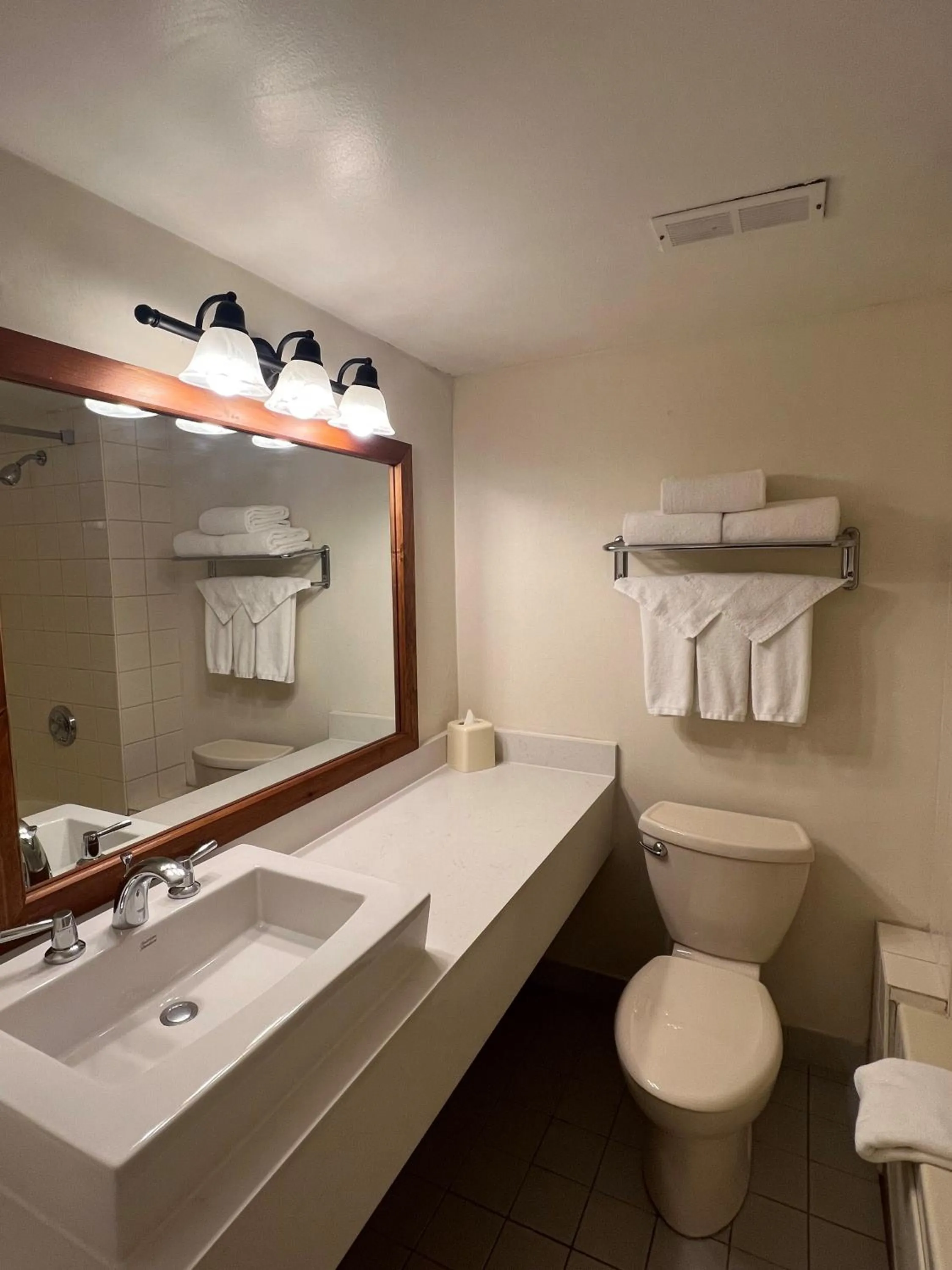 Toilet in Hidden Valley Resort, an Ascend Collection Resort