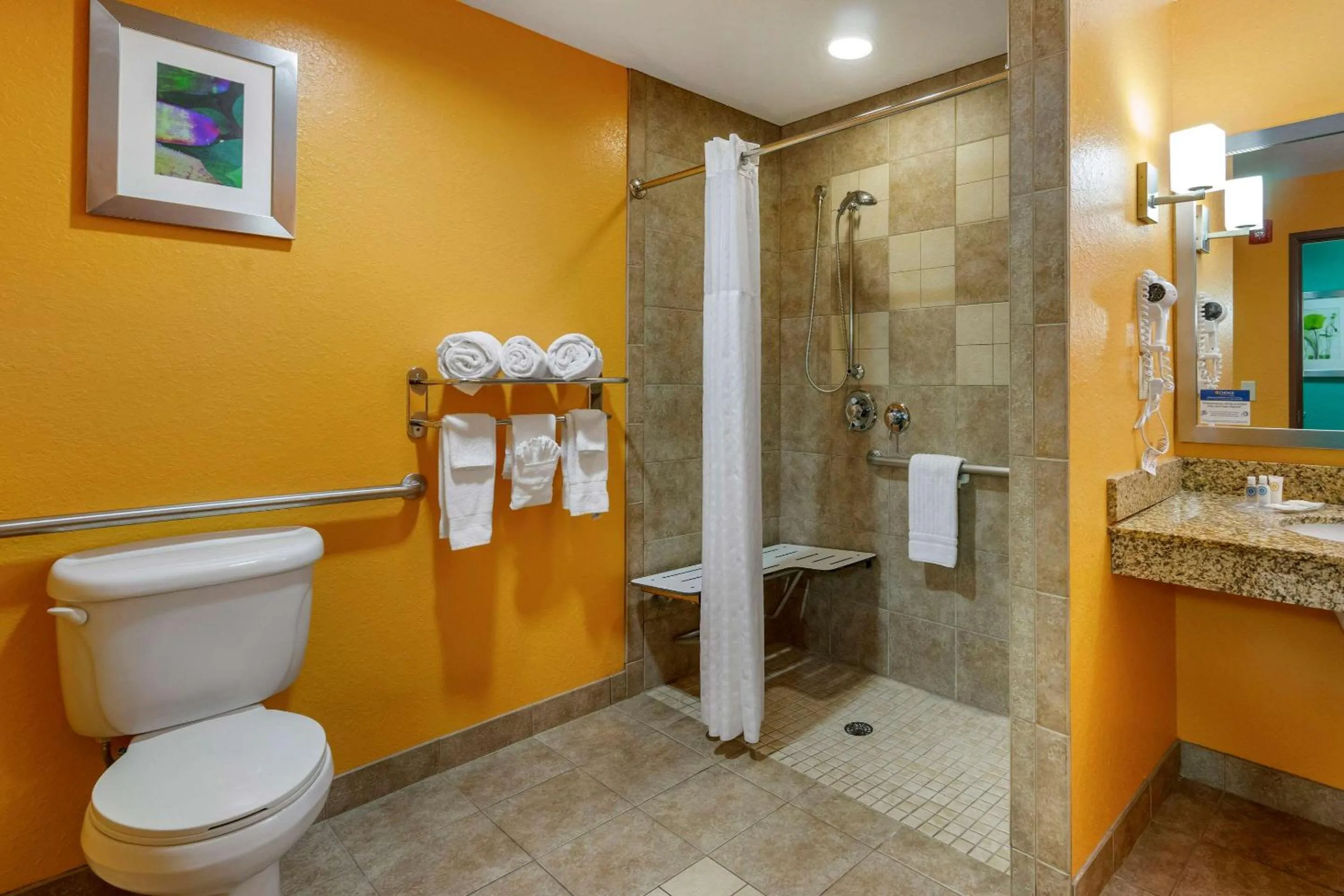 King Suite - Accessible/Non-Smoking in Hampton Inn by Hilton Tampa Fairgrounds Casino