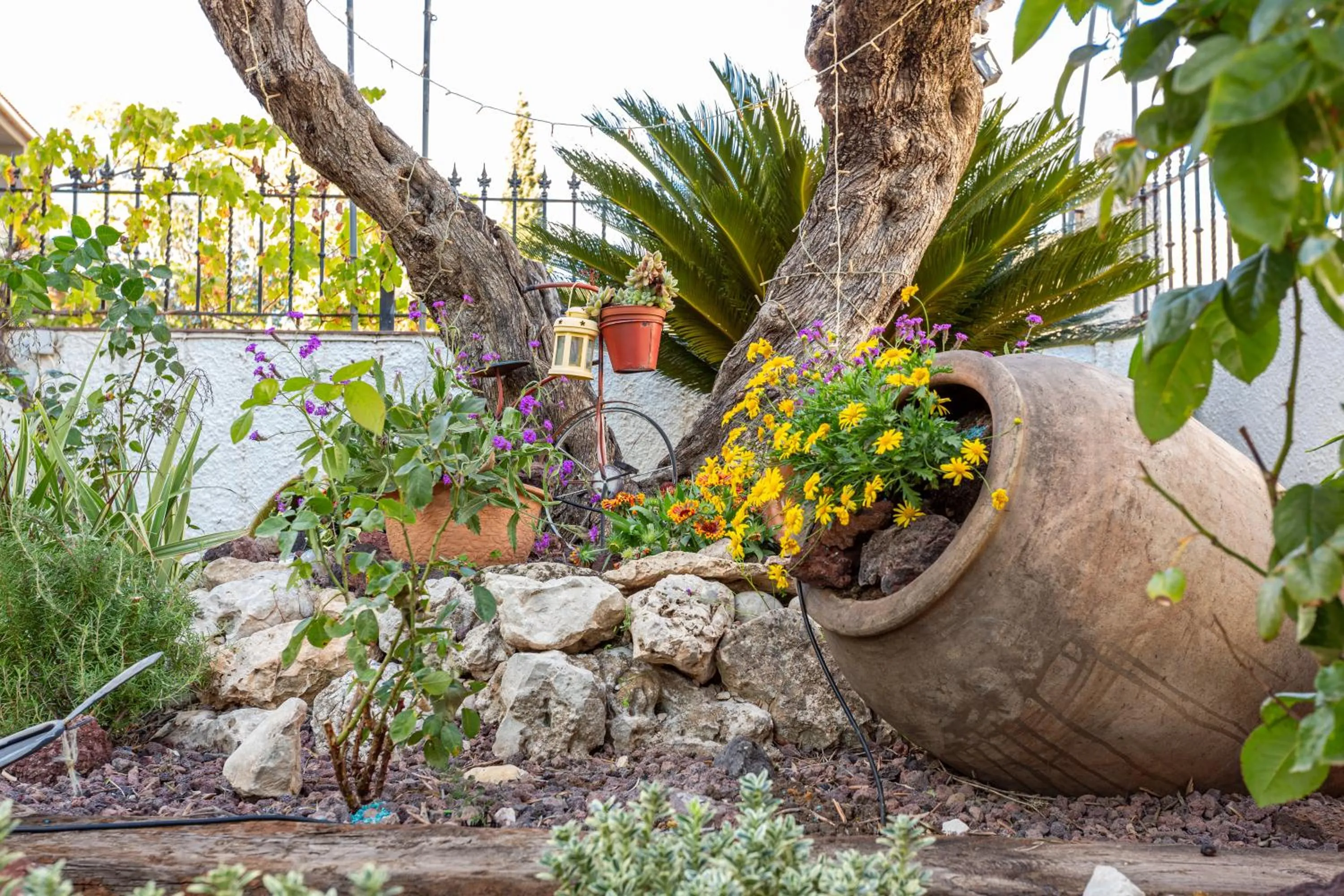 Property building in Hotel Rural Serrella