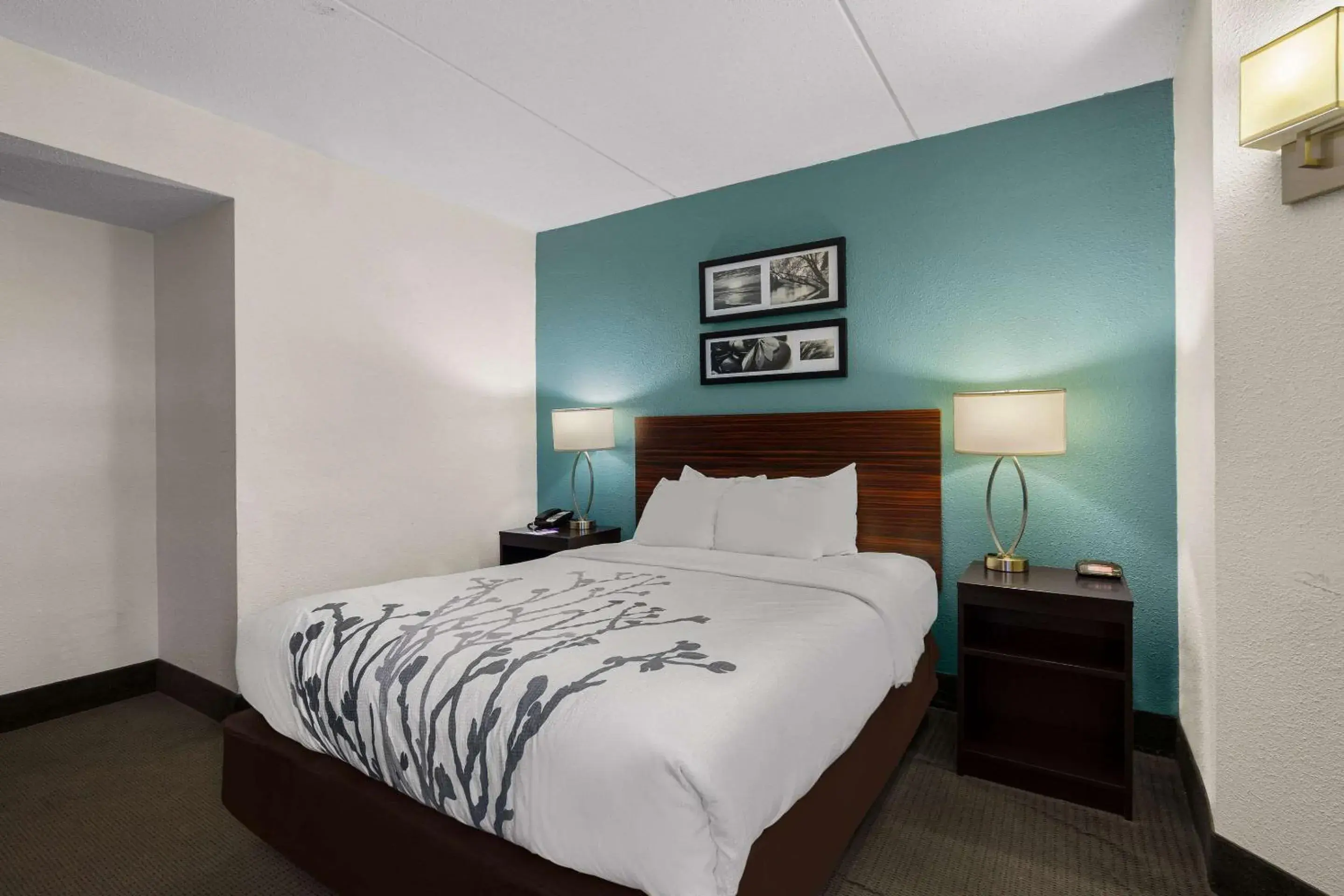 Queen Room - Accessible/Nonsmoking in Sleep Inn Wilmington near University Queen Room - Accessible/Nonsmoking in Sleep Inn Wilmington near University