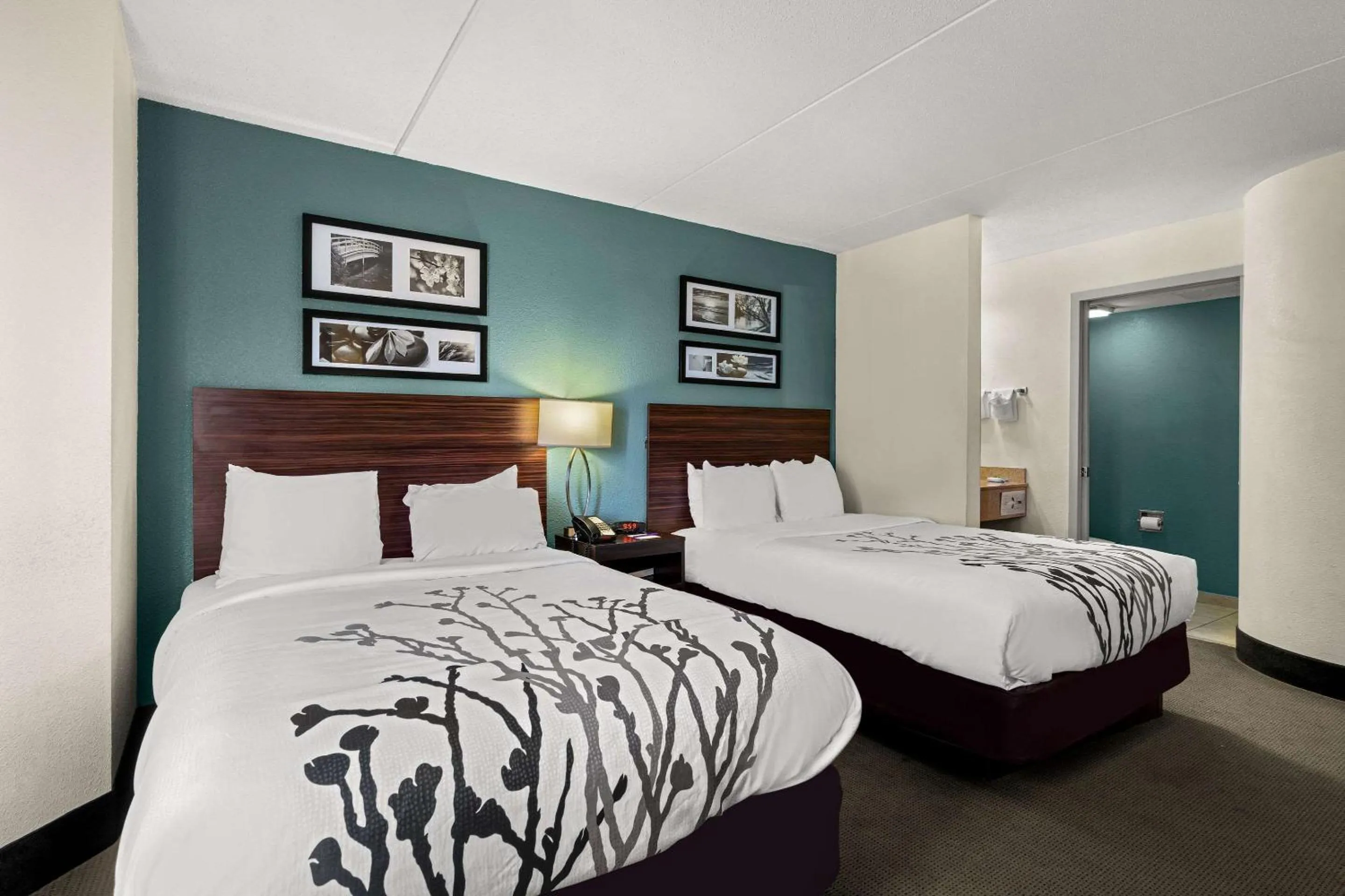 Bedroom, Bed in Sleep Inn Wilmington near University