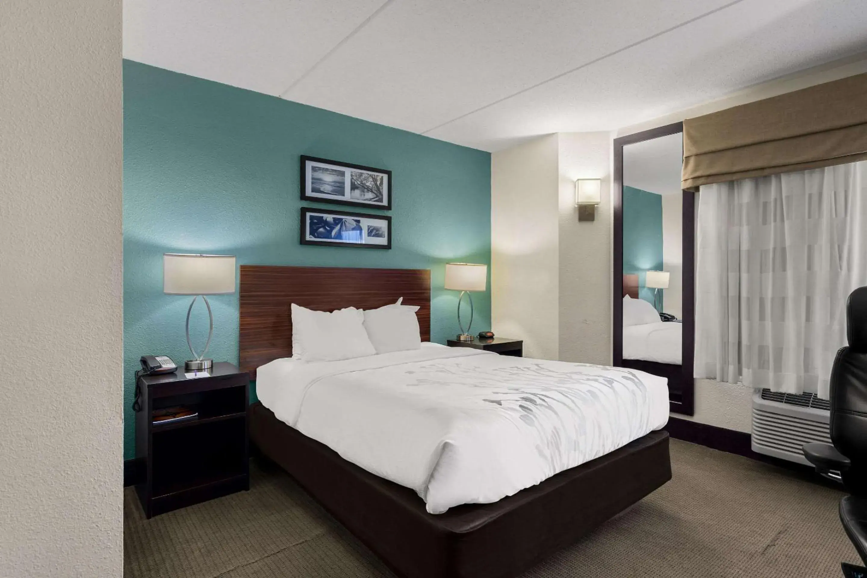 Queen Room - Non-Smoking in Sleep Inn Wilmington near University Queen Room - Non-Smoking in Sleep Inn Wilmington near University