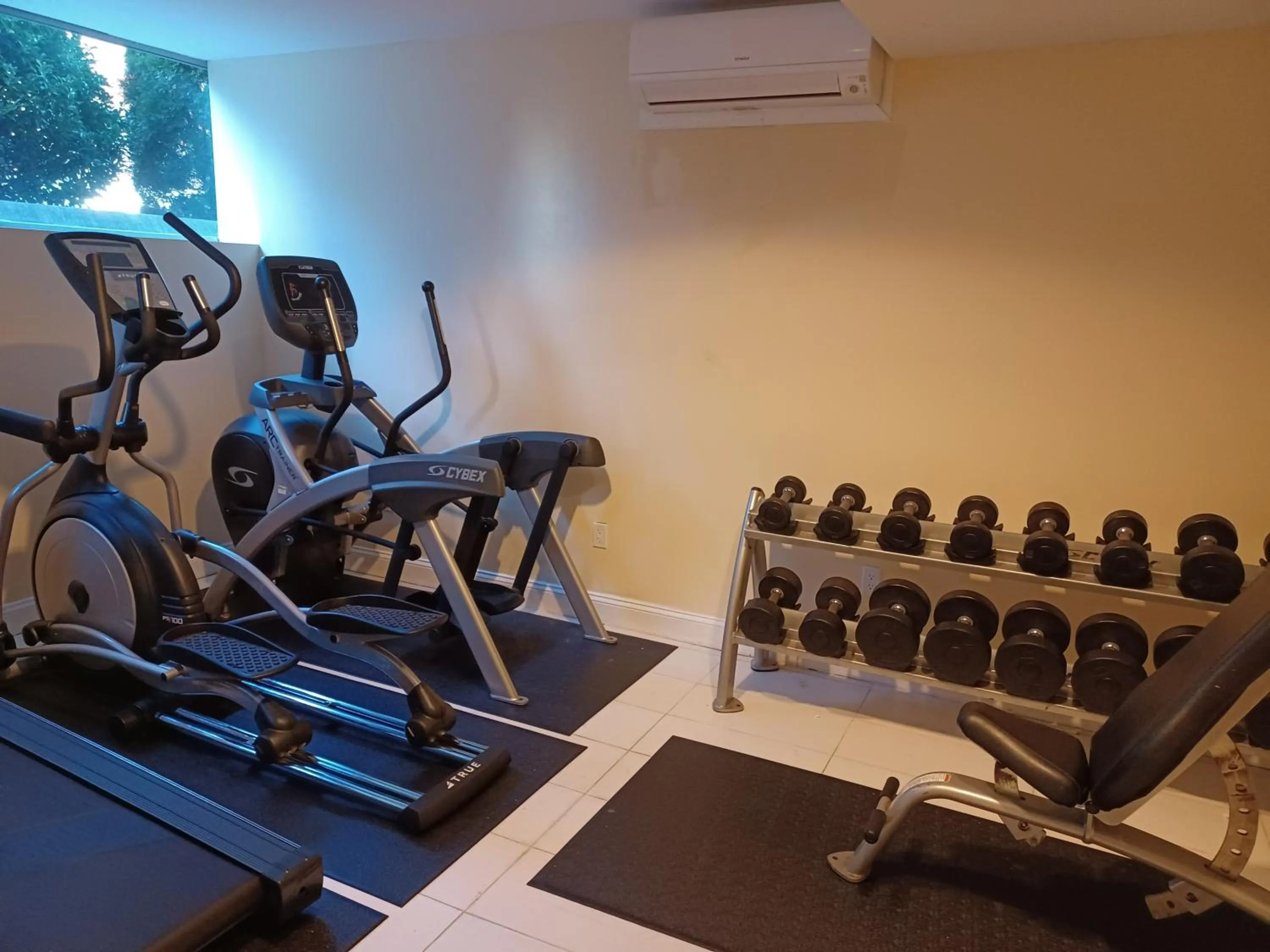 Fitness centre/facilities, Fitness Center/Facilities in Wyndham Garden Long Island City