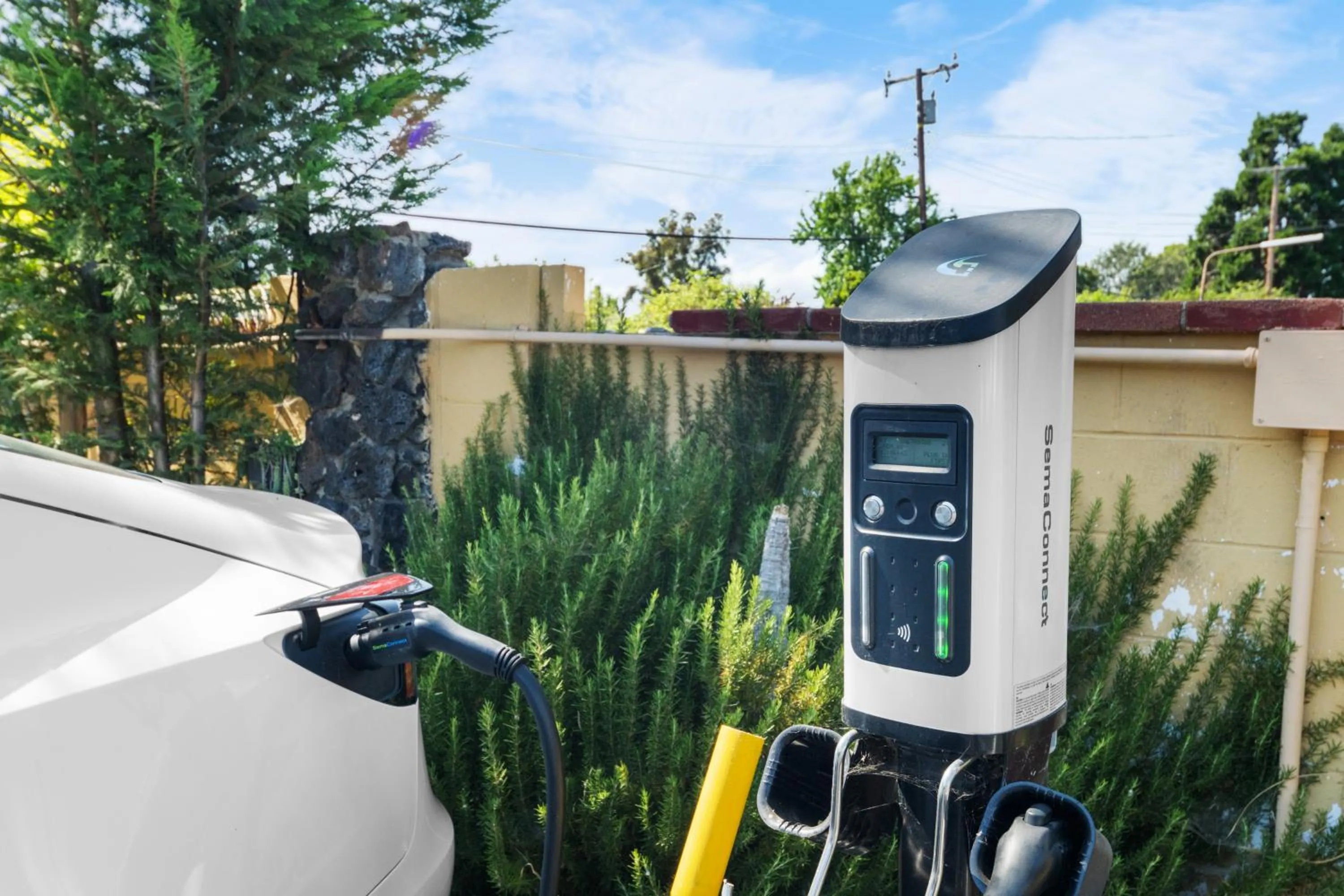 Sky Palm Motel - Orange