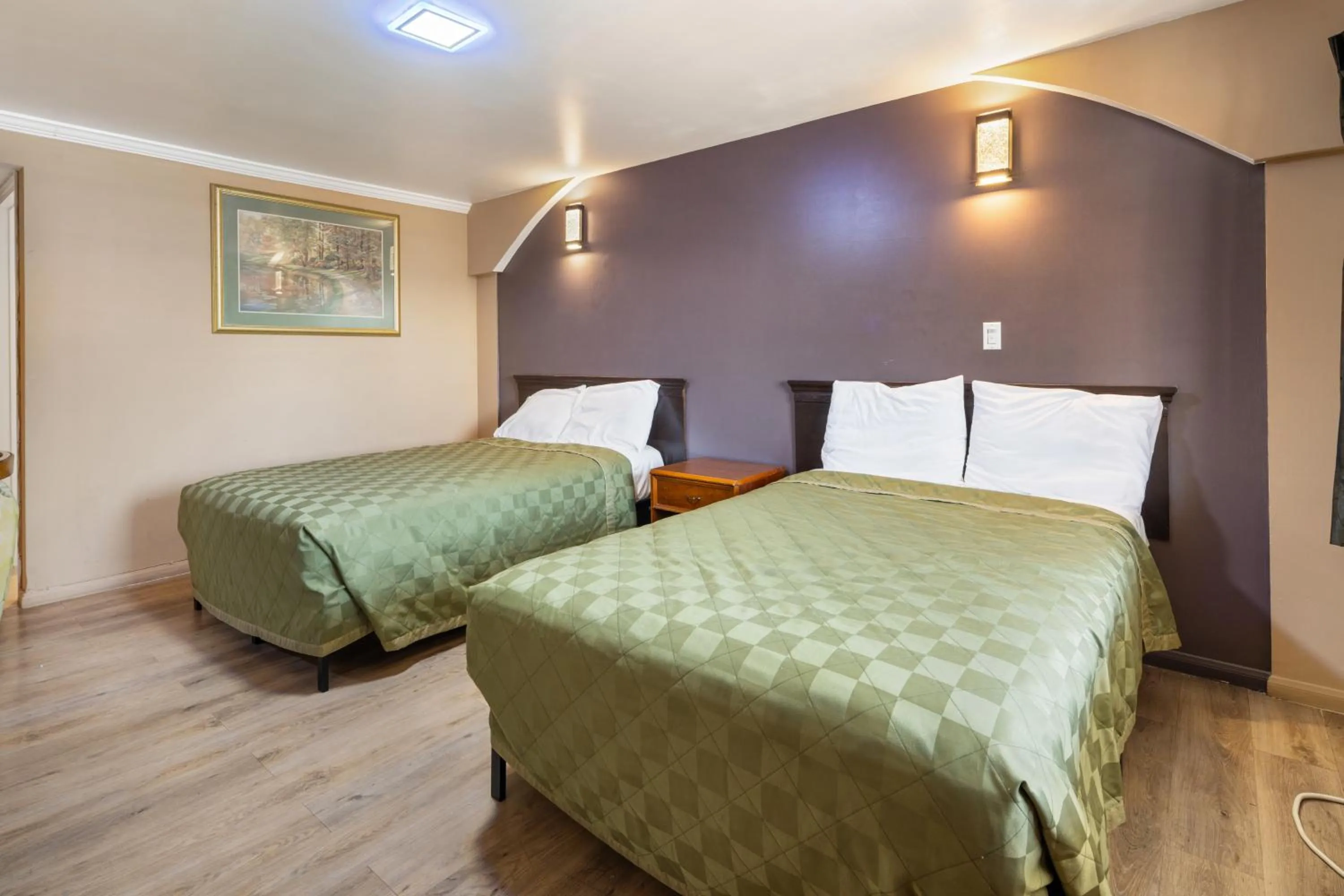 Bed in Sky Palm Motel - Orange