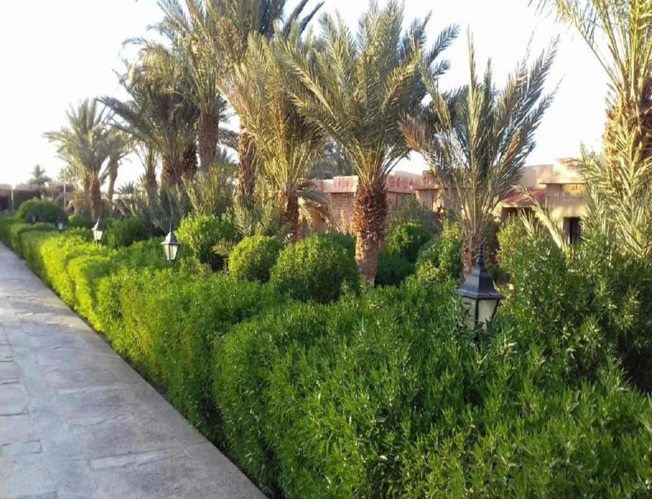 View (from property/room) in Belere Arfoud