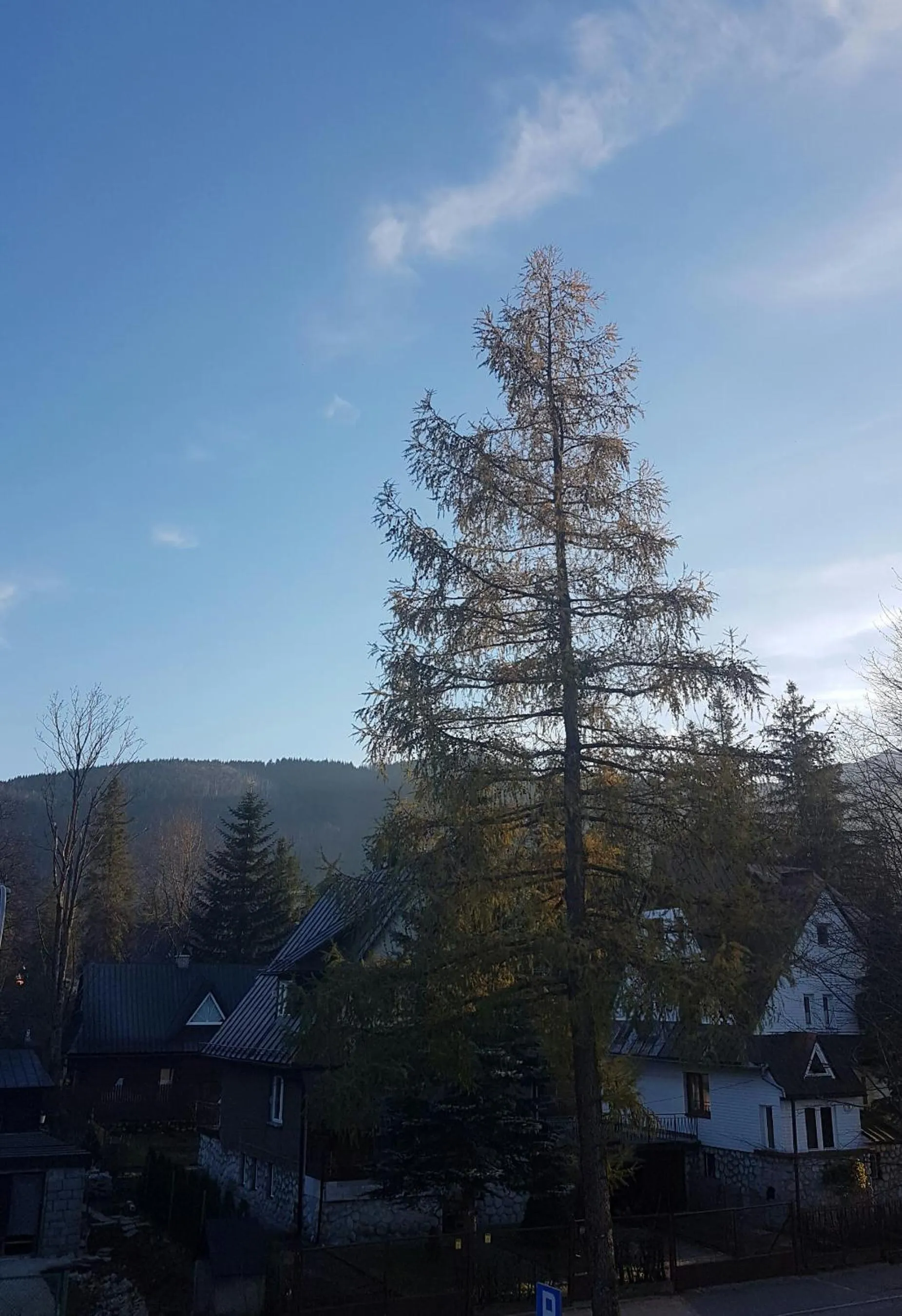 View (from property/room) in Pensjonat Arnika