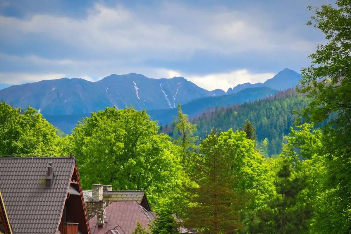 View (from property/room) in Pensjonat Arnika