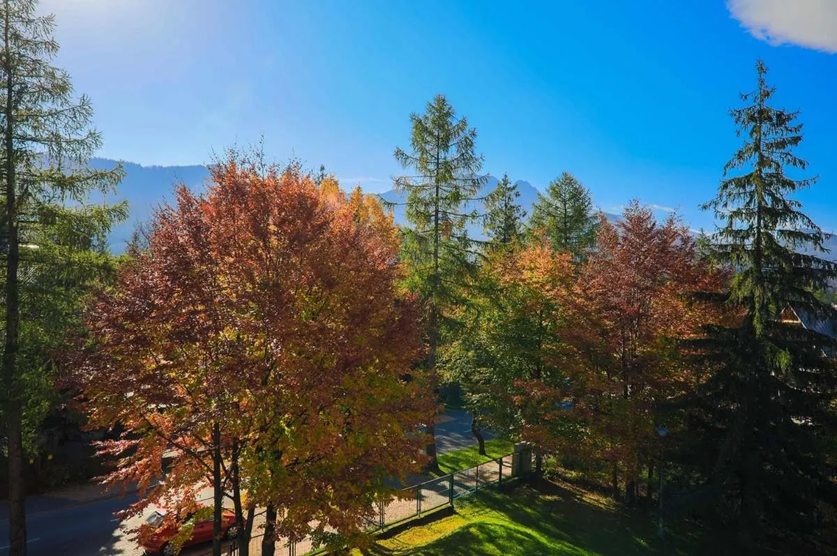 View (from property/room) in Pensjonat Arnika