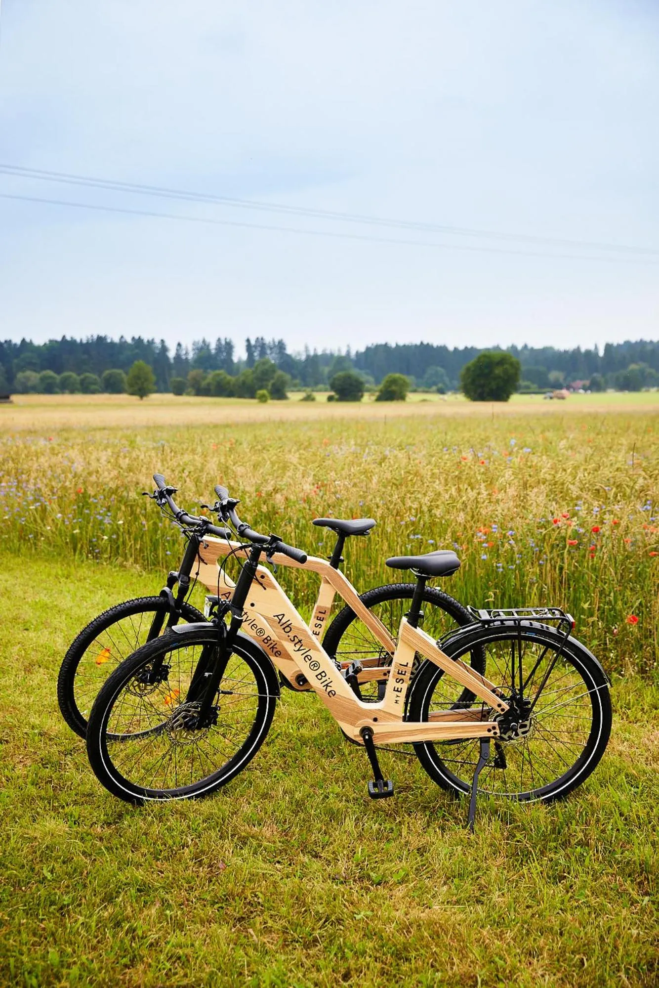 Cycling in Widmann's Löwen