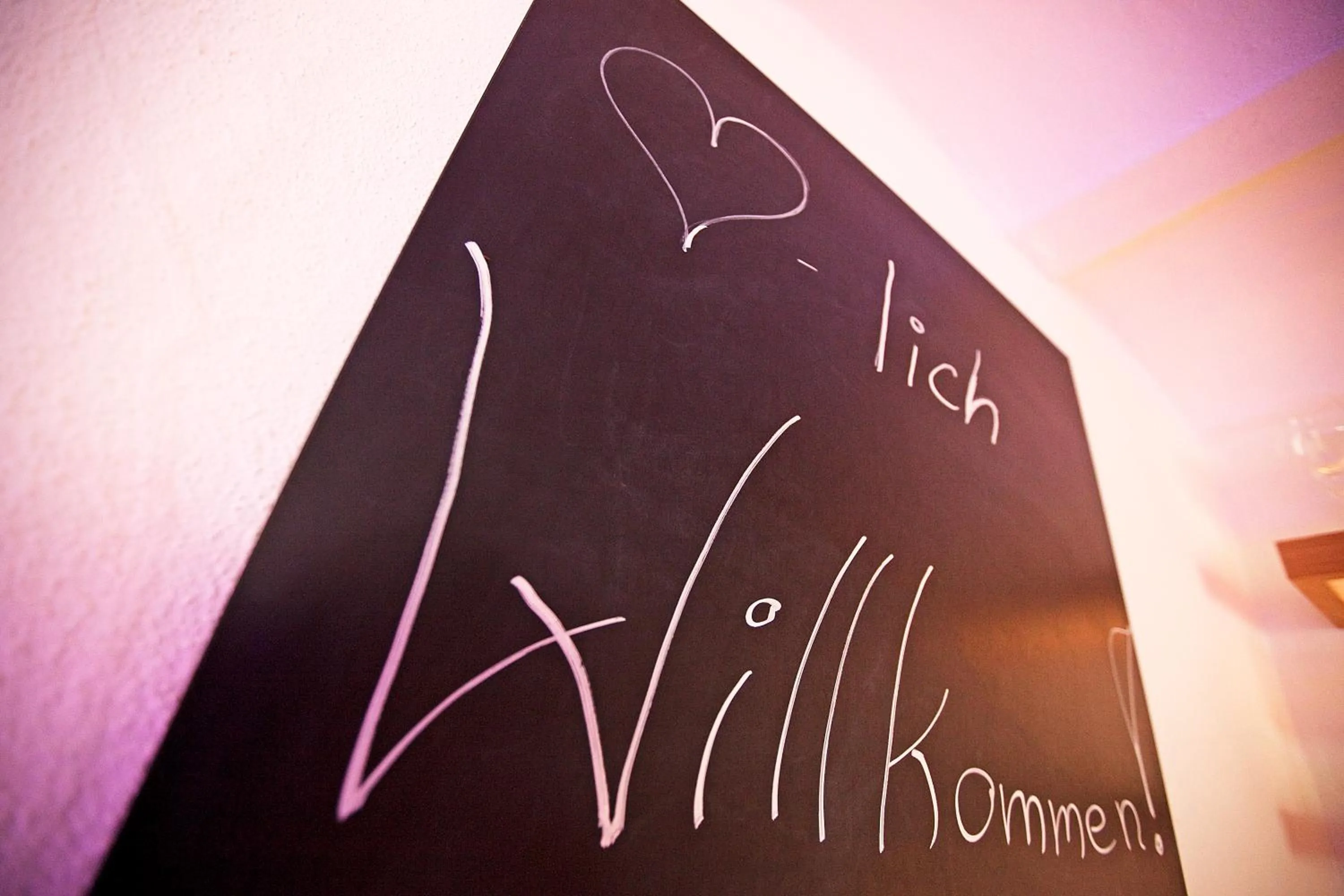 Other in Widmann's Löwen