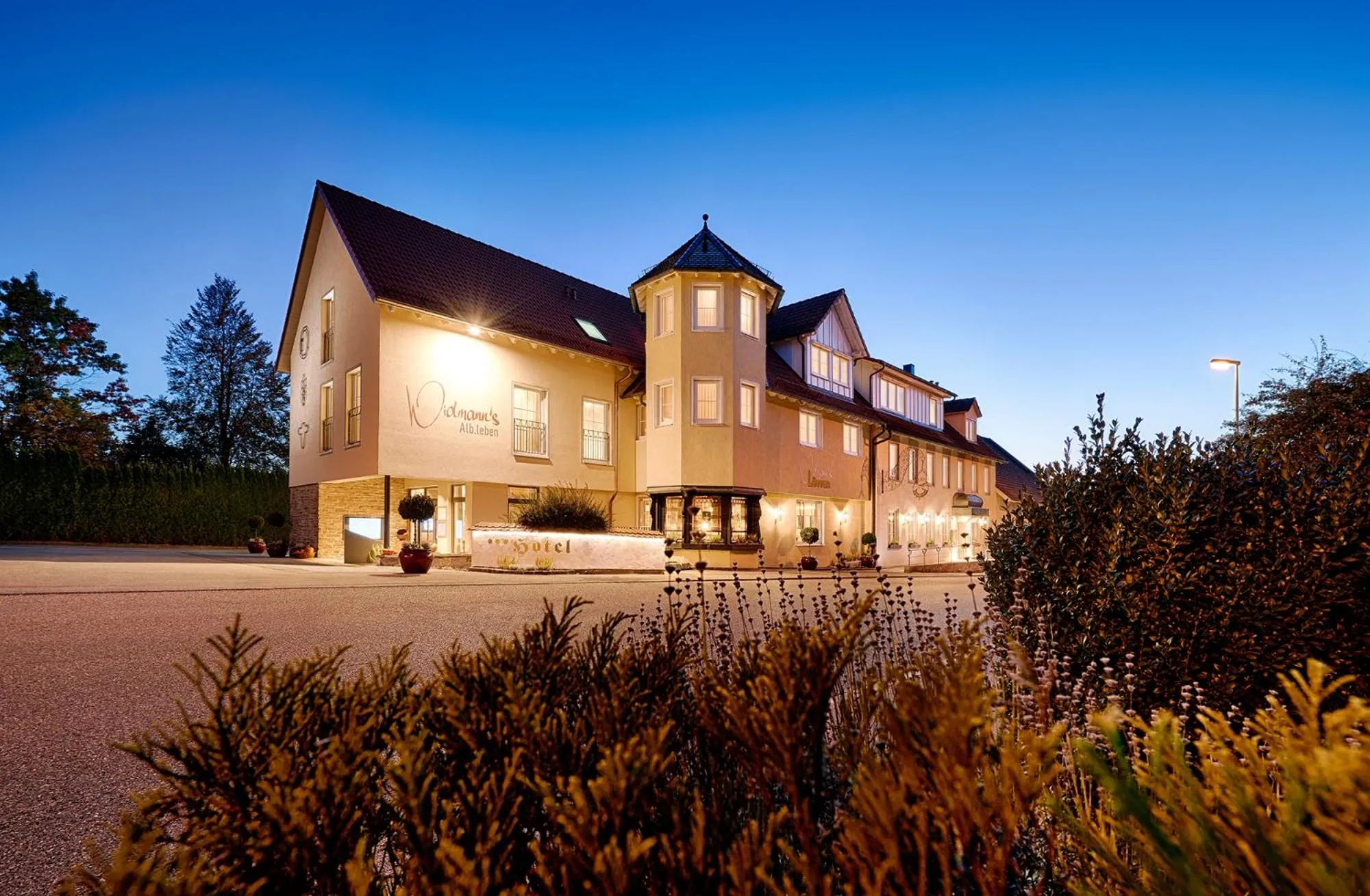 Property building in Widmann's Löwen