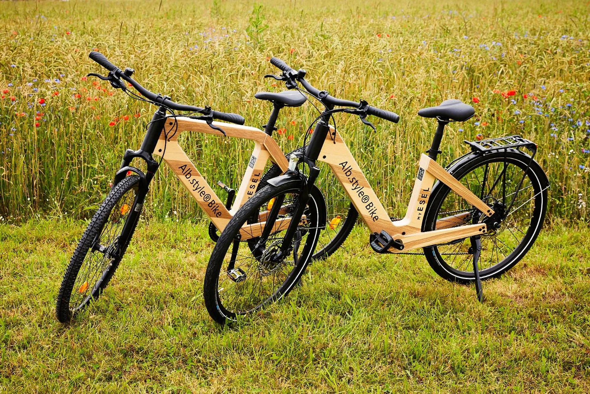 Cycling in Widmann's Löwen