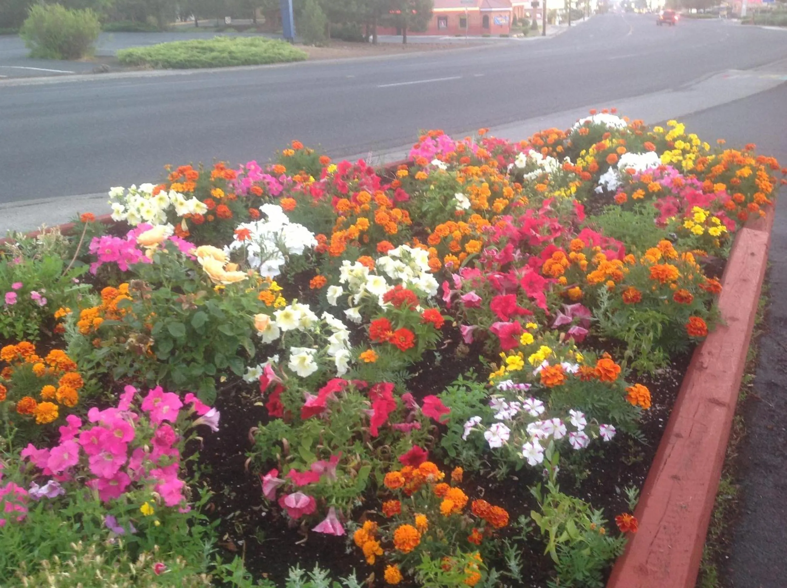 Garden in Holiday Motel Bend