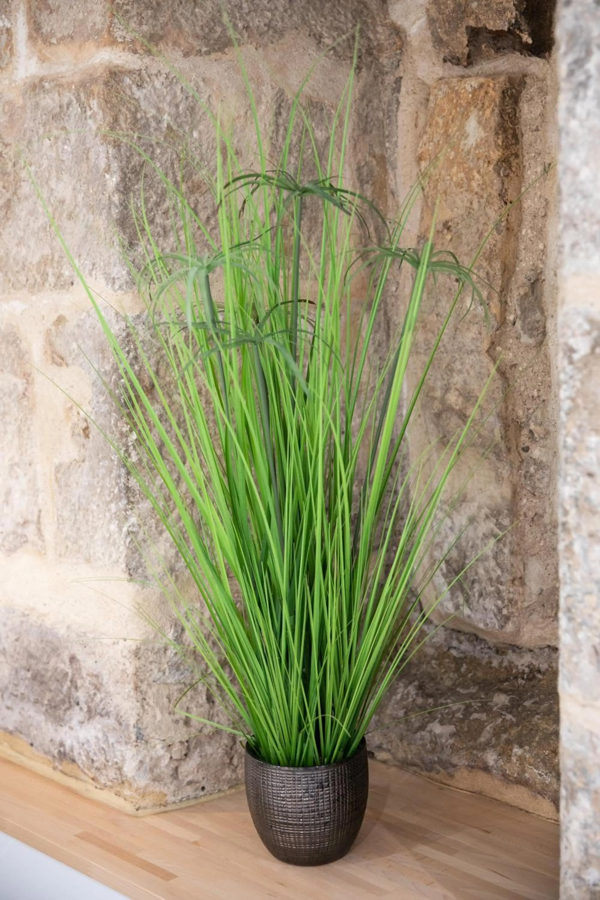 Decorative detail in L' échafaud - Apparts de standing - Centre historique