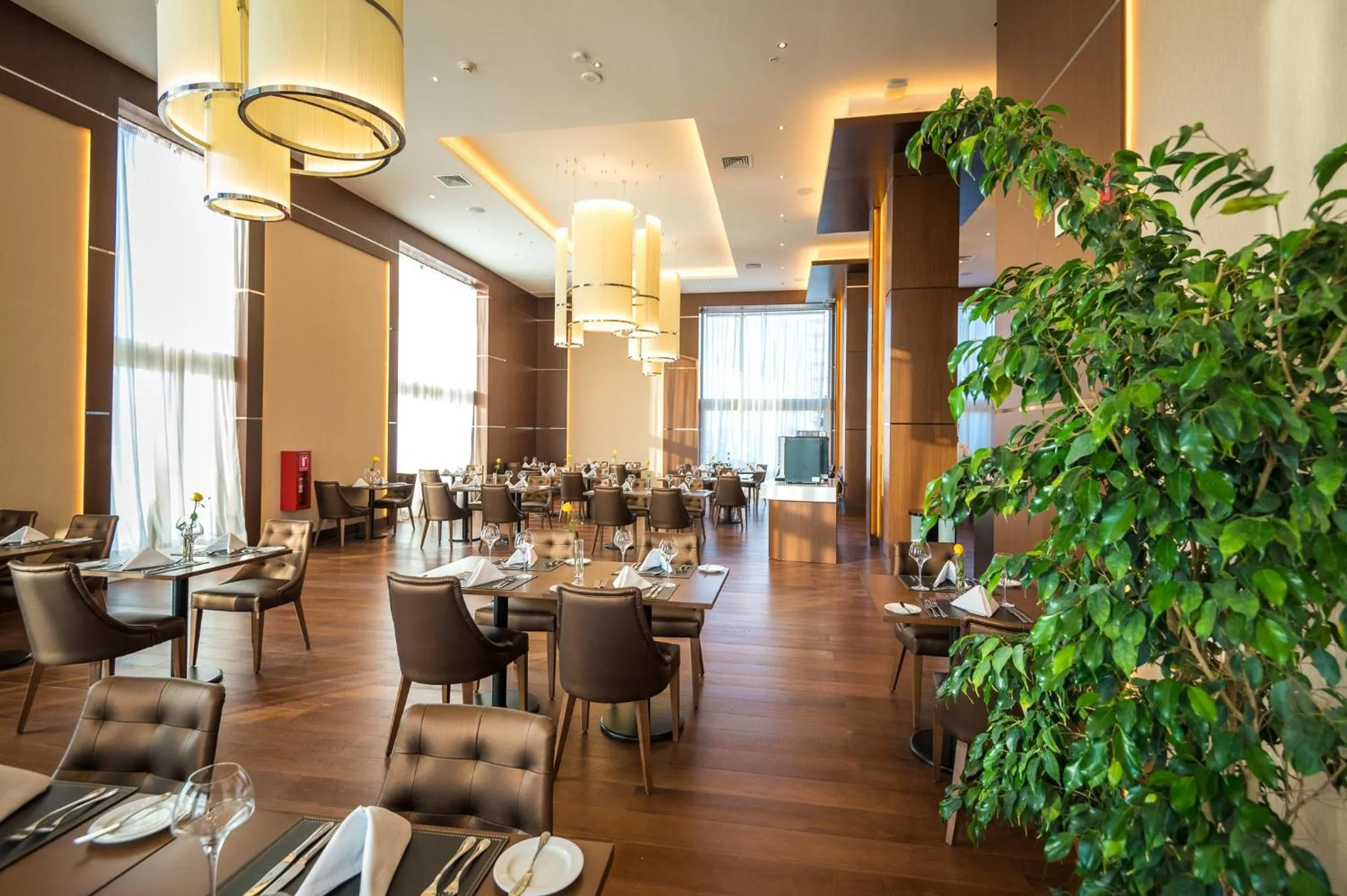 Restaurant/places to eat in Antay Hotel & Spa