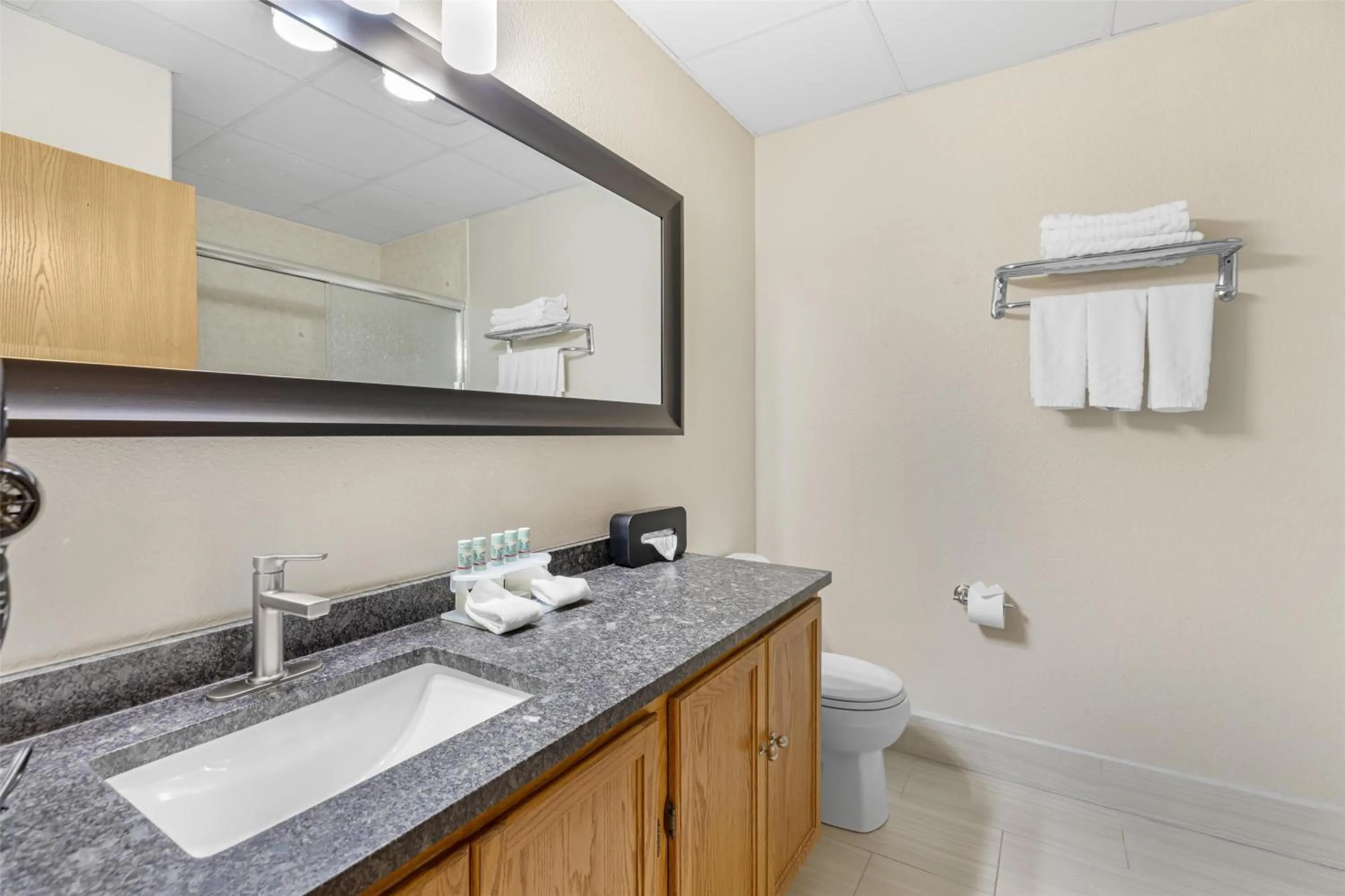 Bathroom in Best Western Firestone Inn & Suites