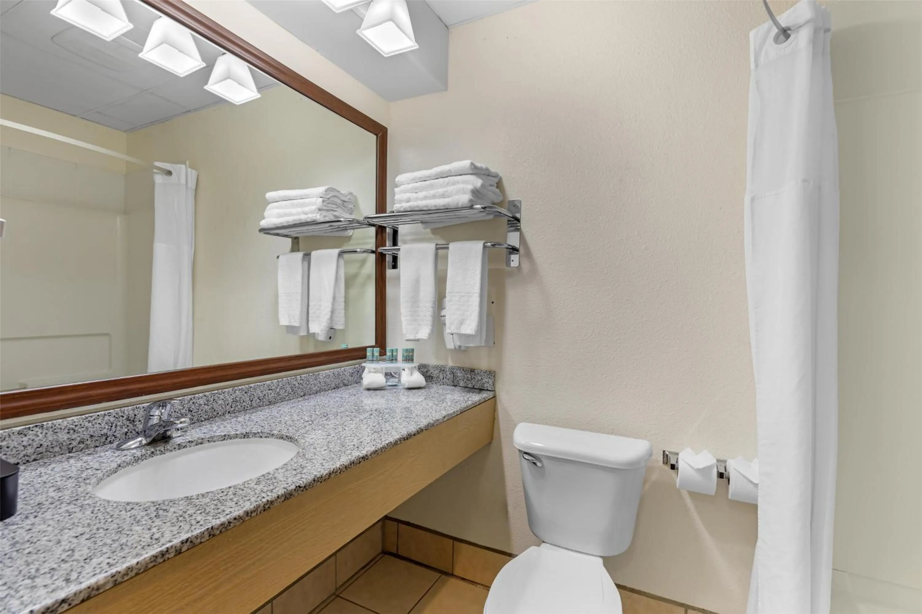 Bathroom in Best Western Firestone Inn & Suites