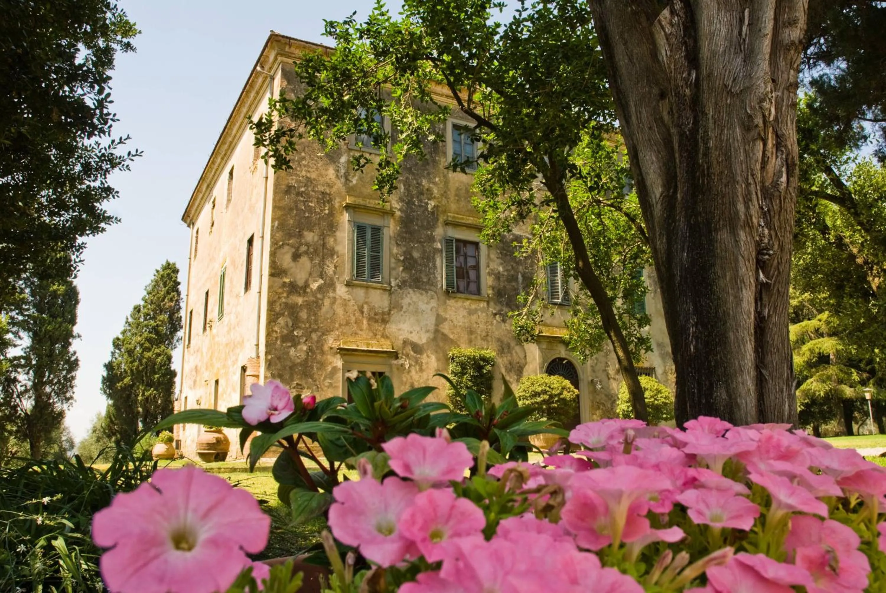 Tenuta di Poggio Cavallo