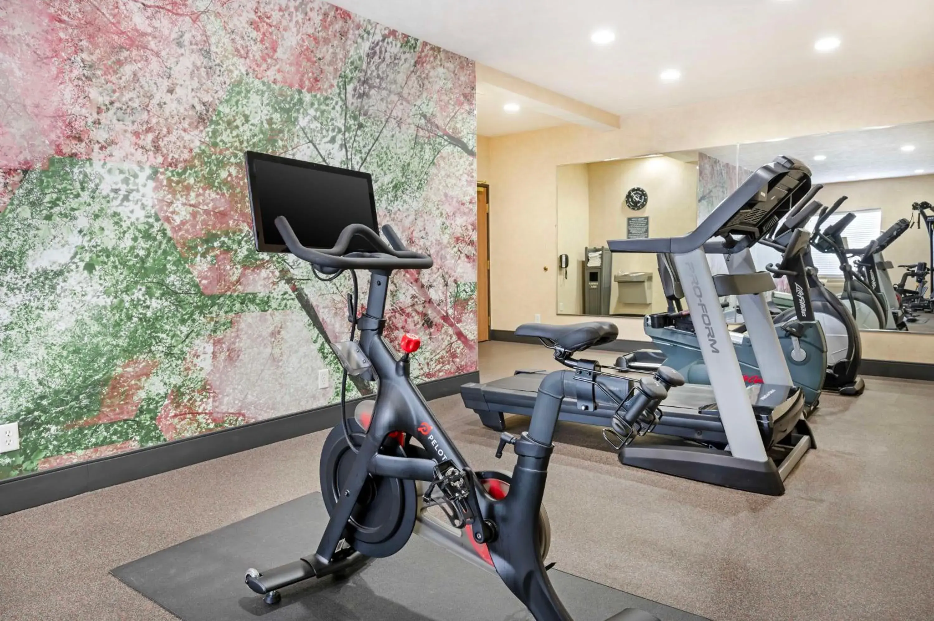 Fitness centre/facilities in Best Western Plus Howe Inn Fitness centre/facilities in Best Western Plus Howe Inn