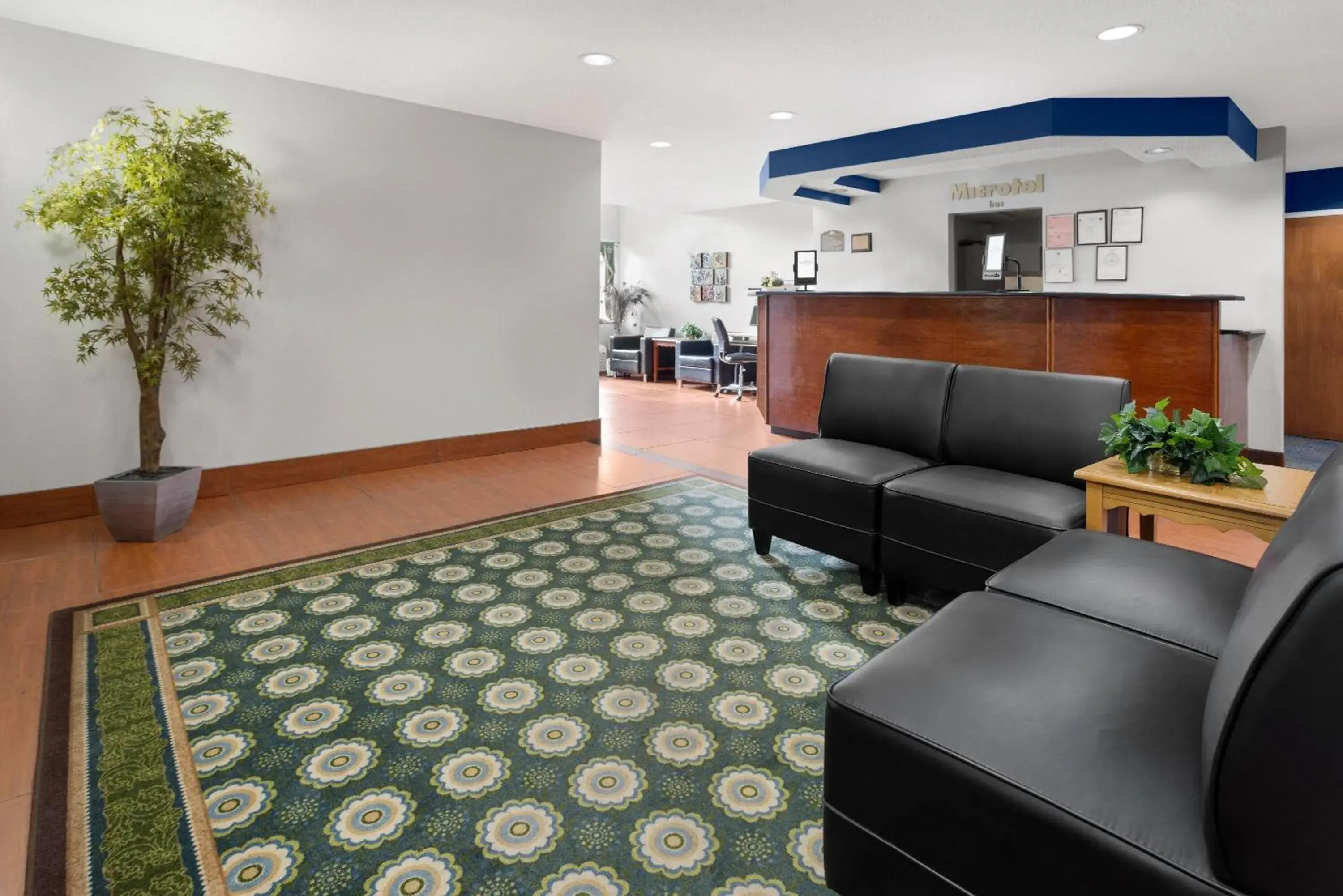 Lobby or reception in Microtel Inn by Wyndham - Albany Airport Lobby or reception in Microtel Inn by Wyndham - Albany Airport