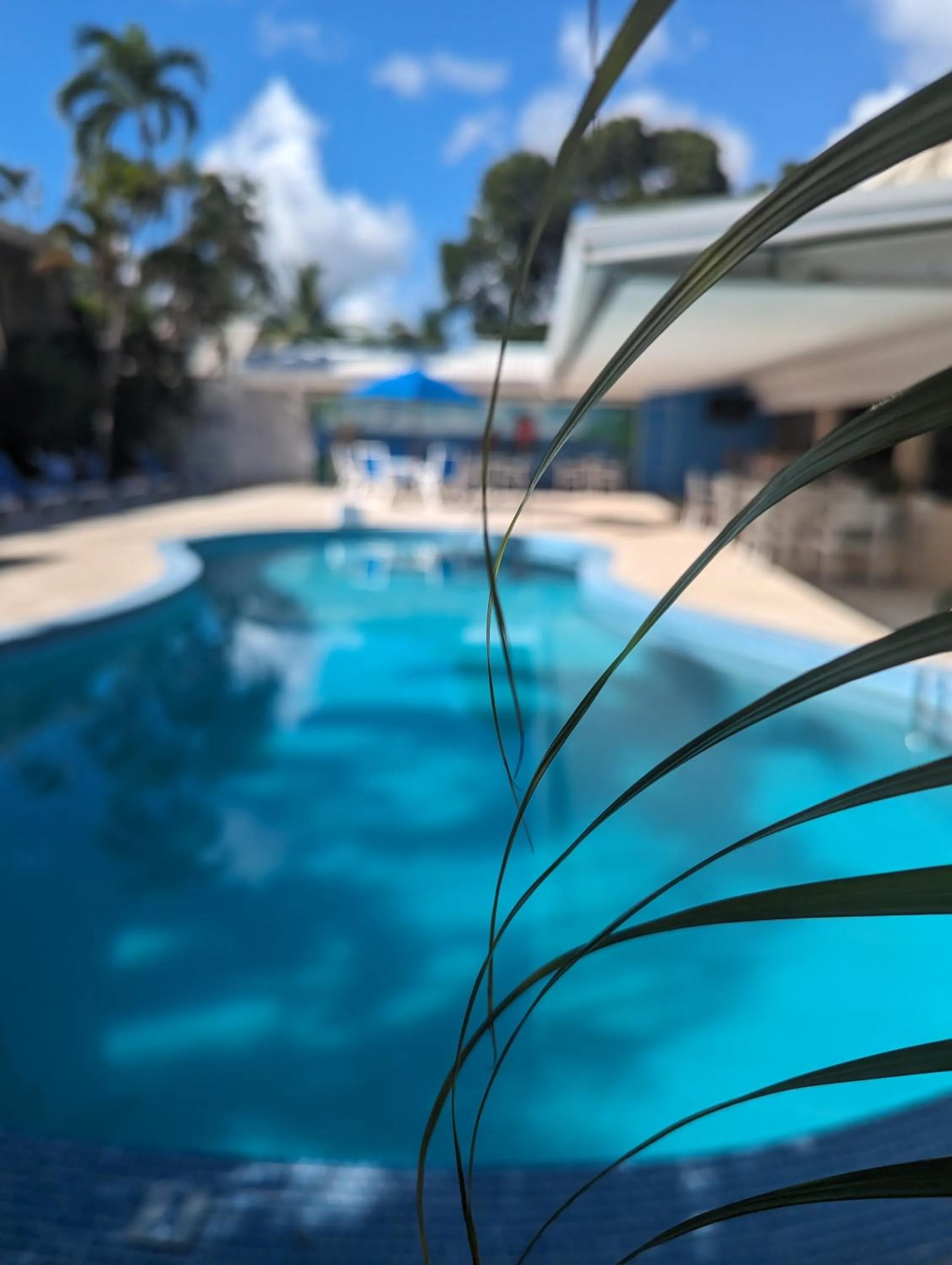 Pool view in Pirate's Inn