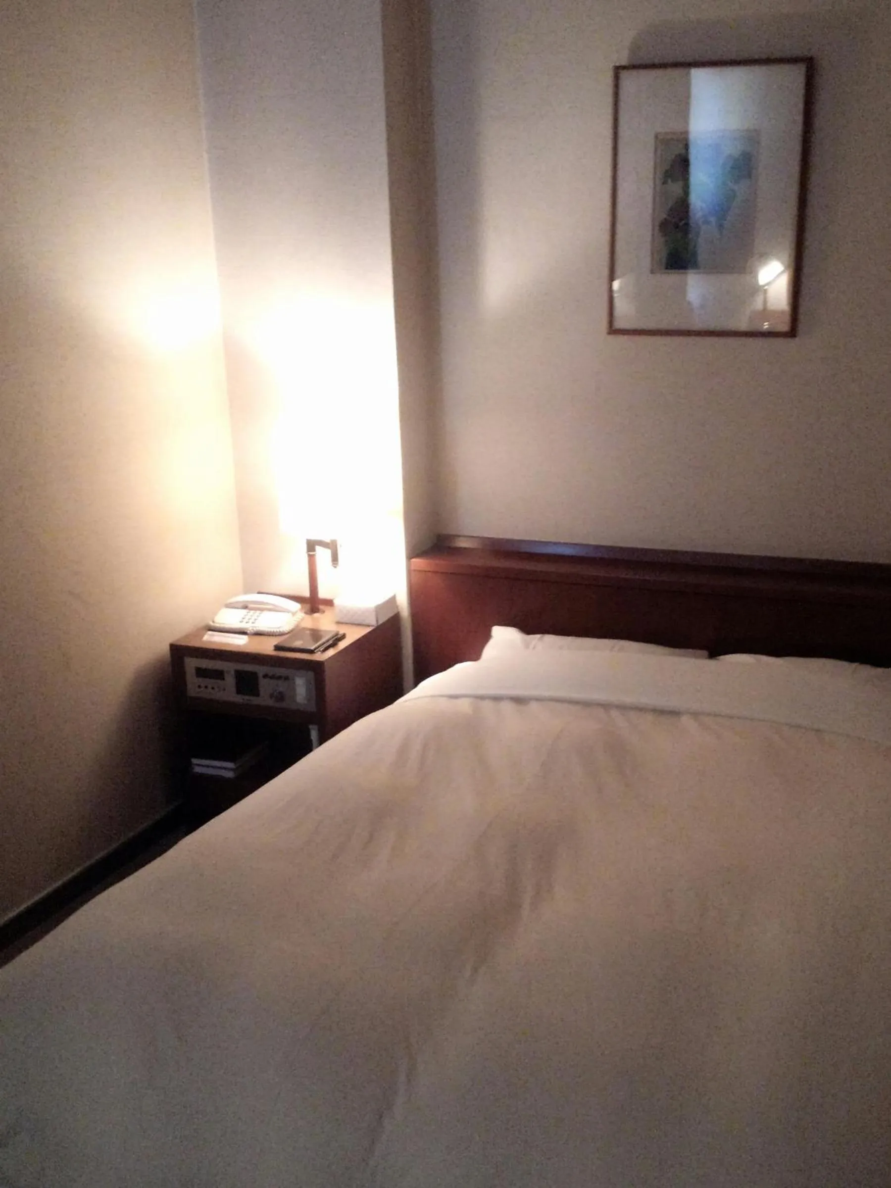 Photo of the whole room, Bed in Hotel Danrokan