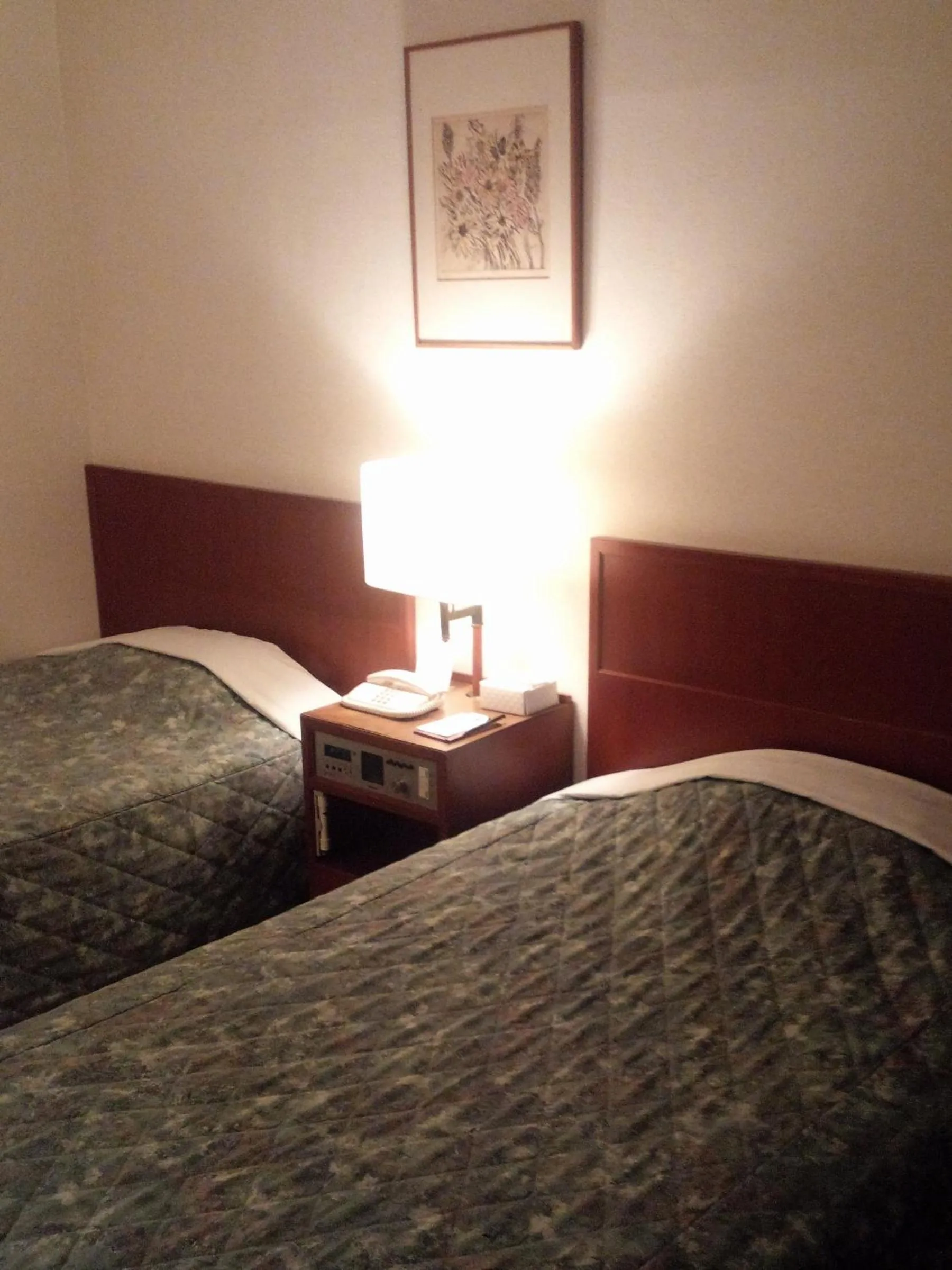 Photo of the whole room, Bed in Hotel Danrokan
