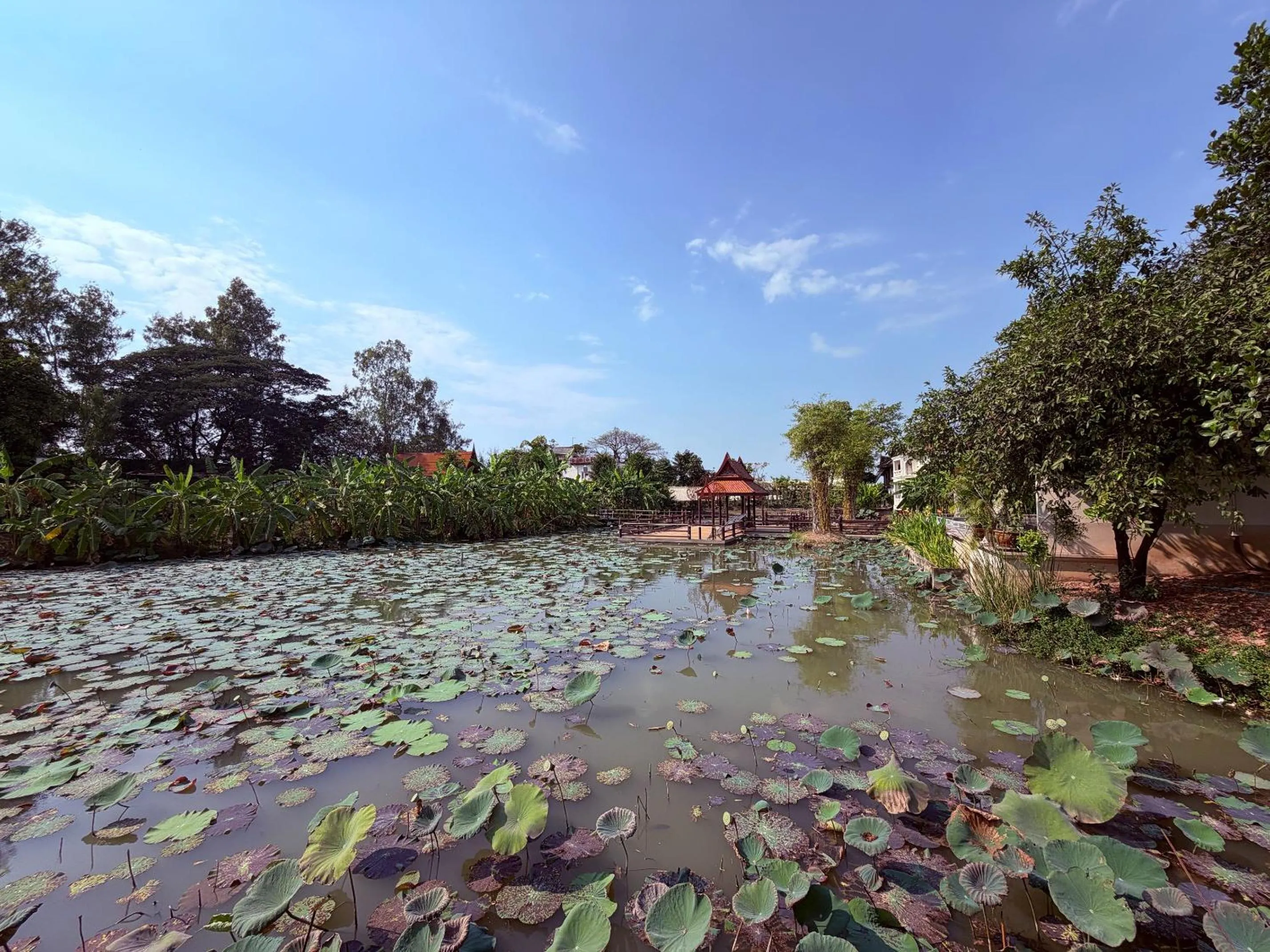 Natural landscape in Ayutthaya Garden River Home