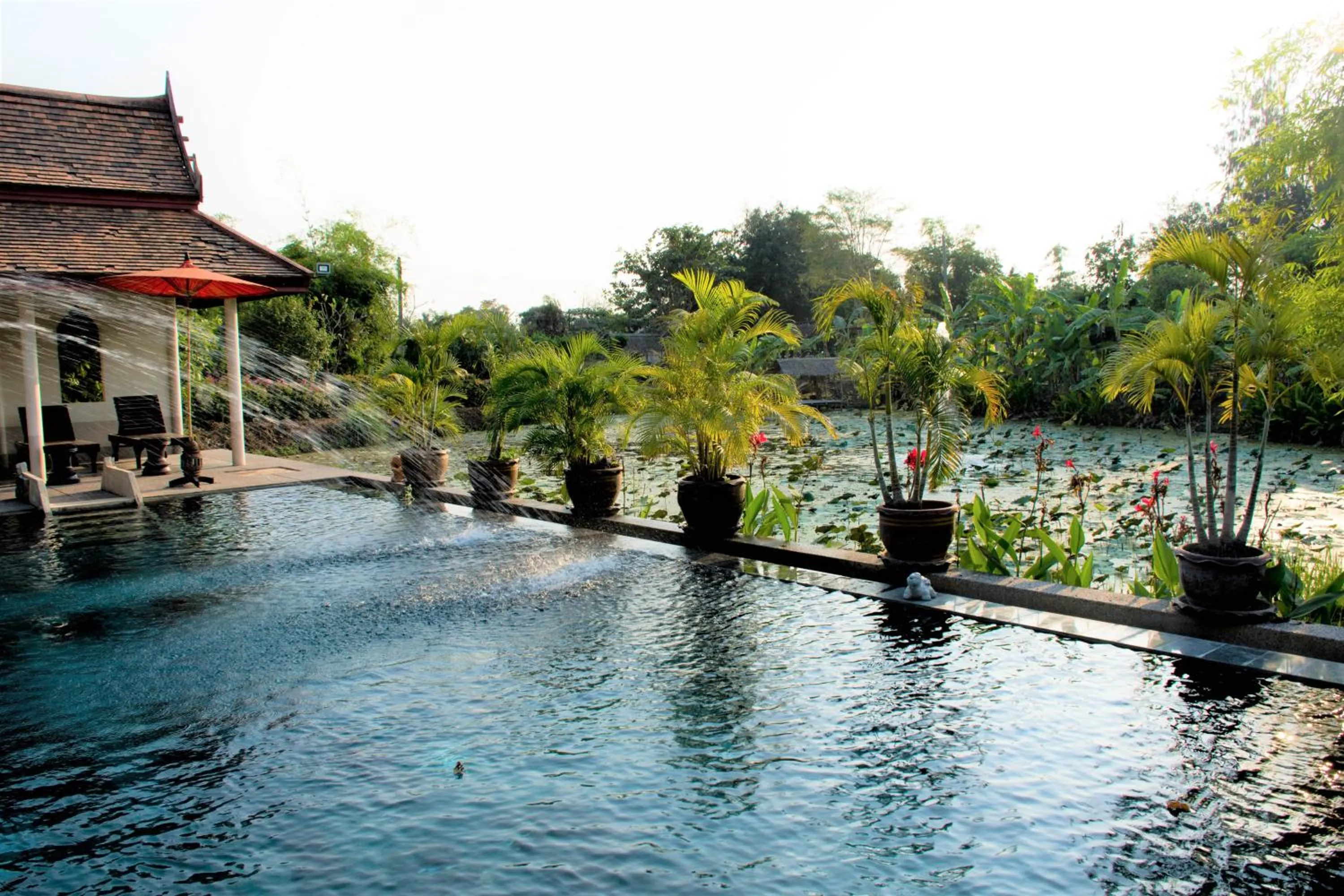 Swimming pool in Ayutthaya Garden River Home