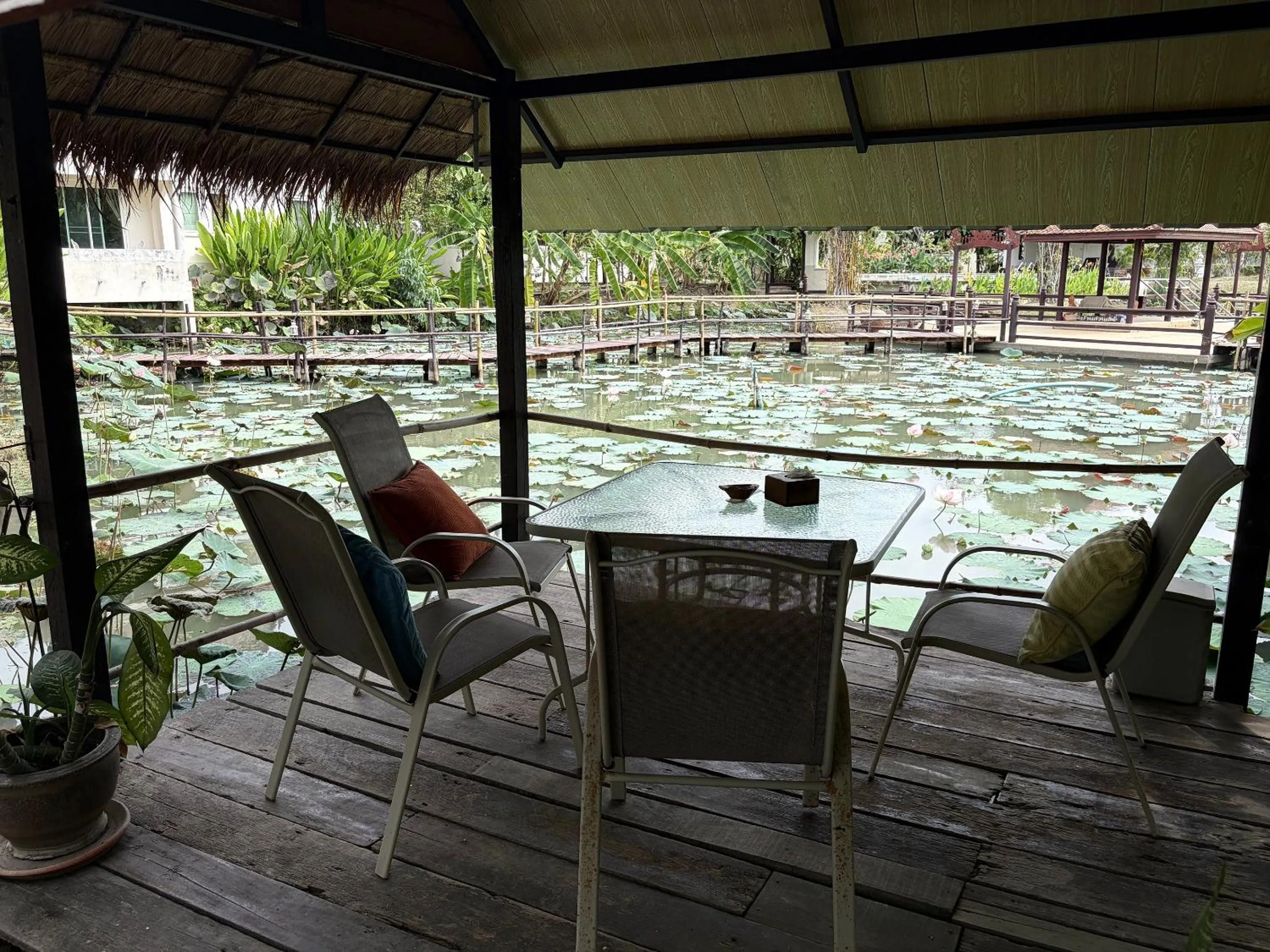 Natural landscape in Ayutthaya Garden River Home